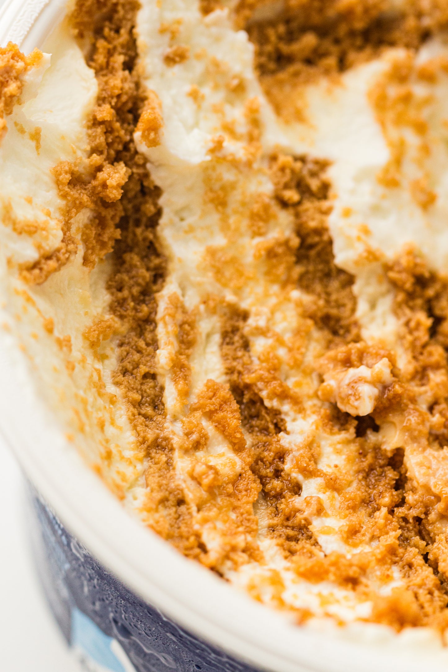 Two-Ingredient Japanese Yogurt Cheesecake – PLR Recipe