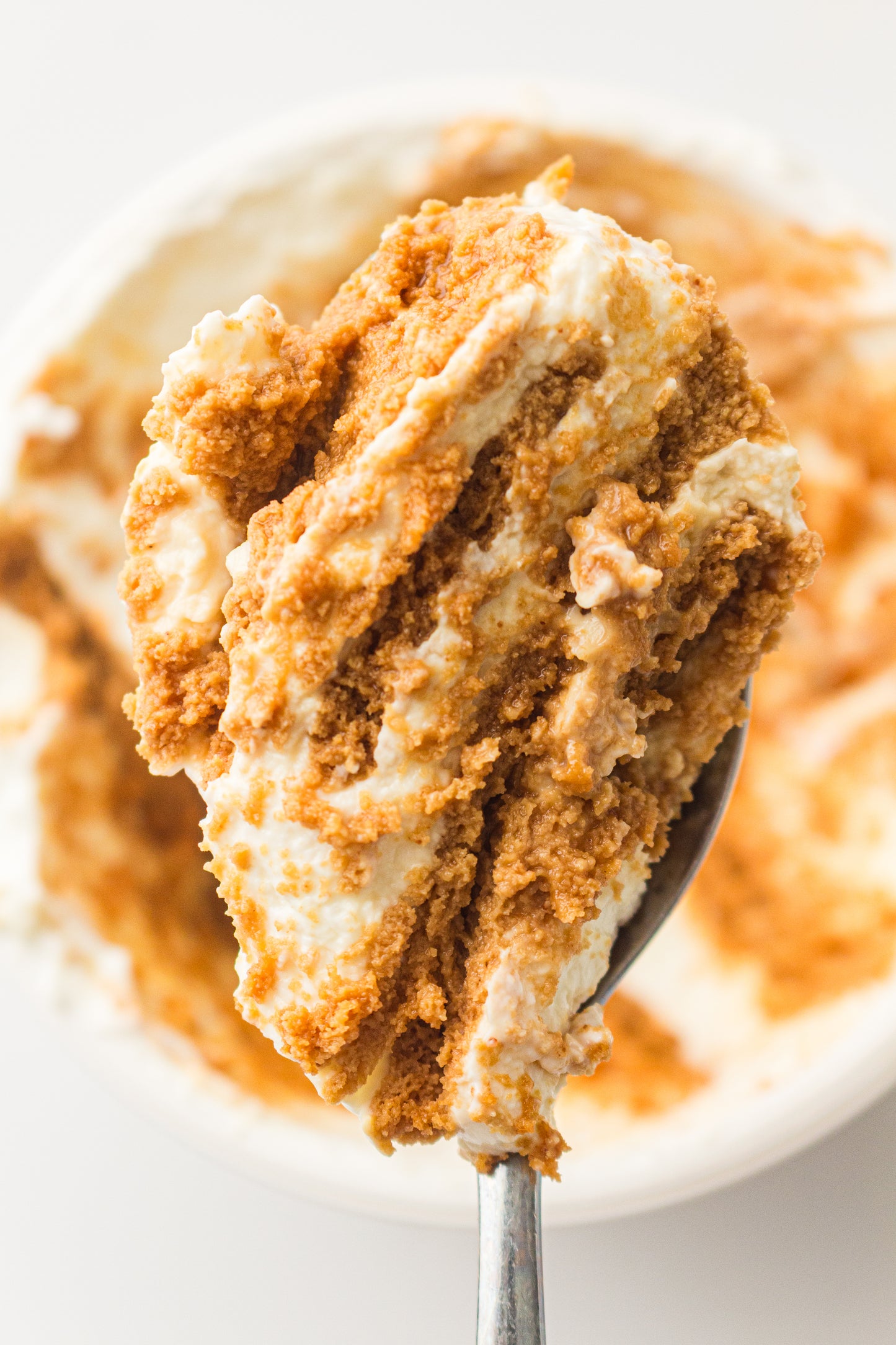 Two-Ingredient Japanese Yogurt Cheesecake – PLR Recipe