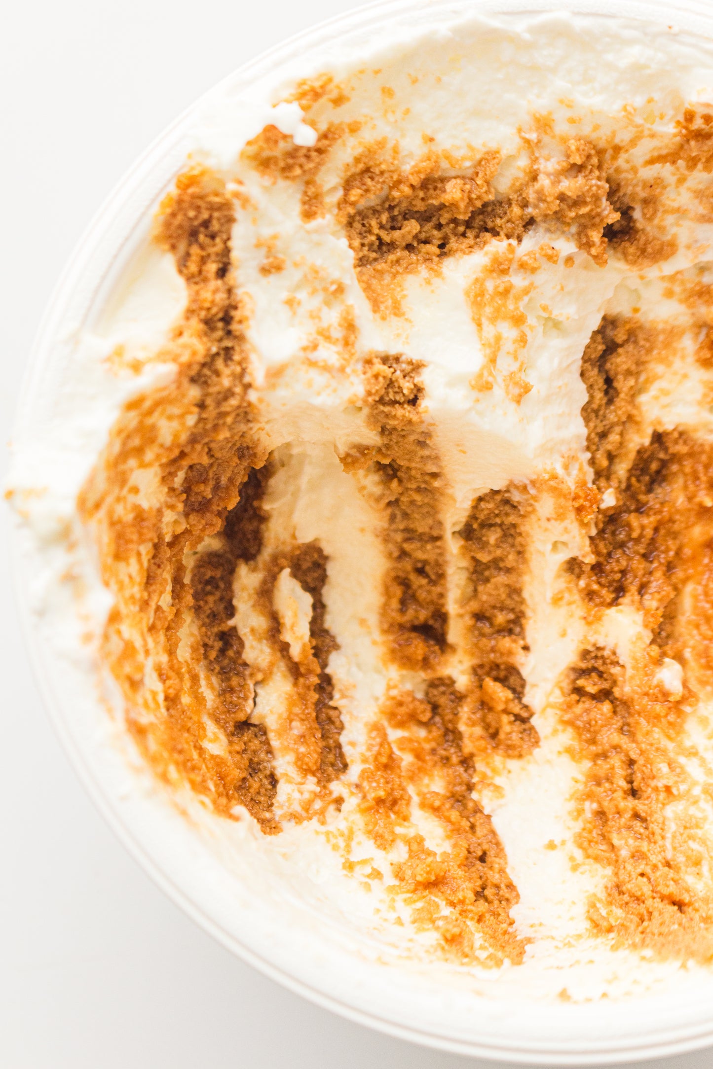 Two-Ingredient Japanese Yogurt Cheesecake – PLR Recipe