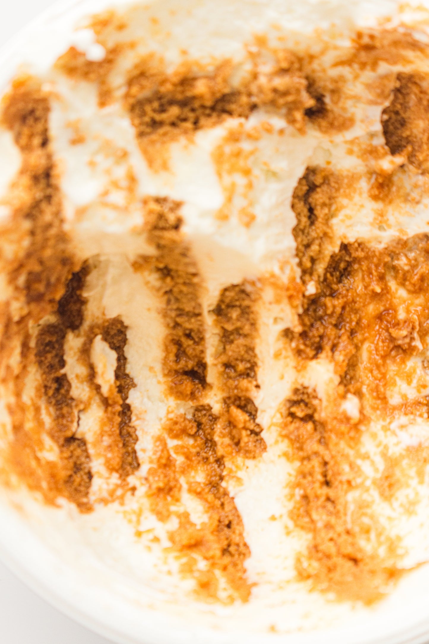 Two-Ingredient Japanese Yogurt Cheesecake – PLR Recipe