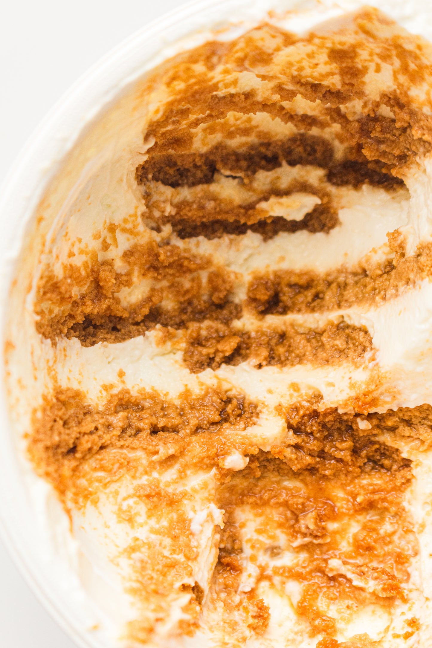 Two-Ingredient Japanese Yogurt Cheesecake – PLR Recipe