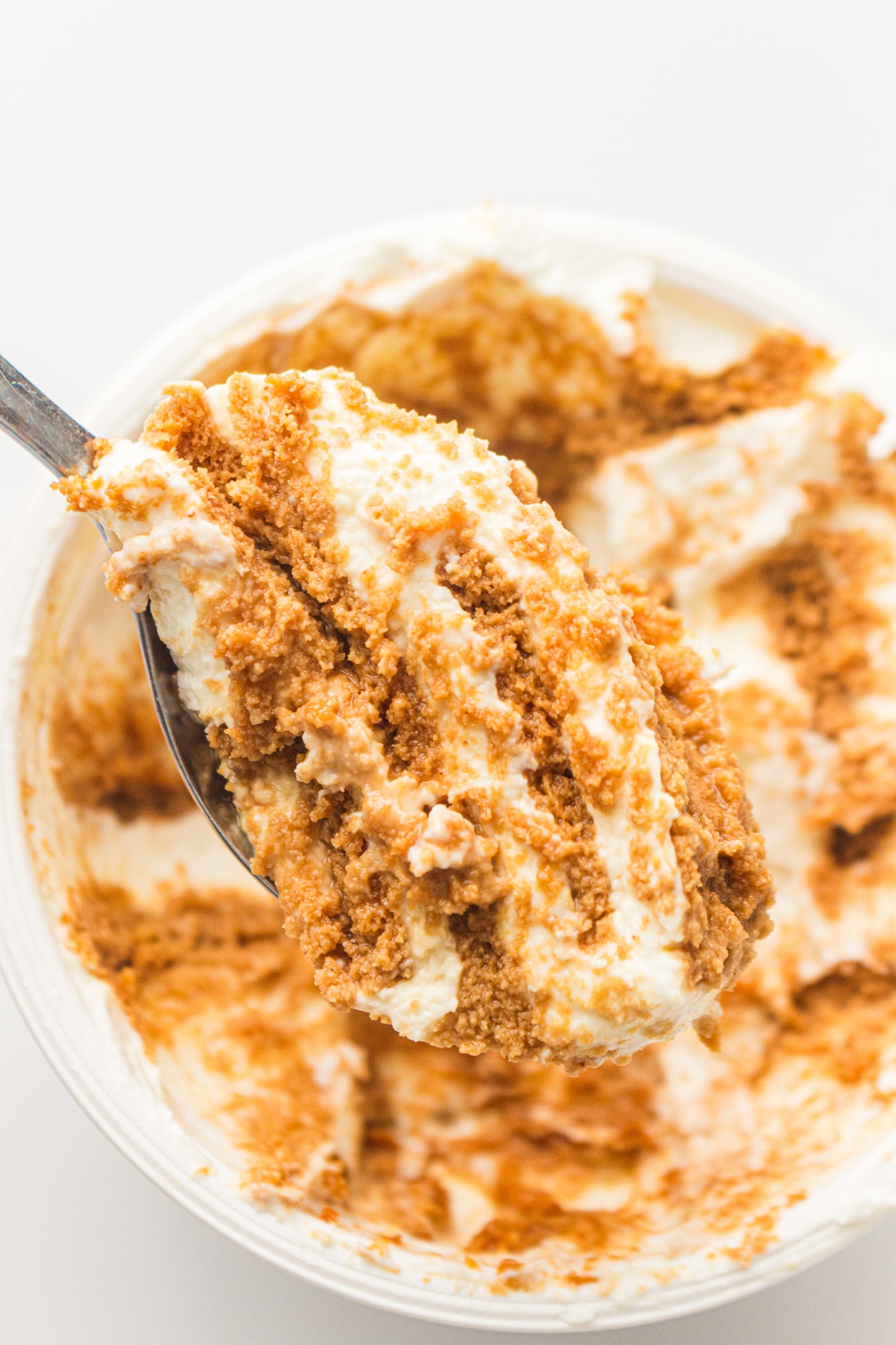 Two-Ingredient Japanese Yogurt Cheesecake – PLR Recipe