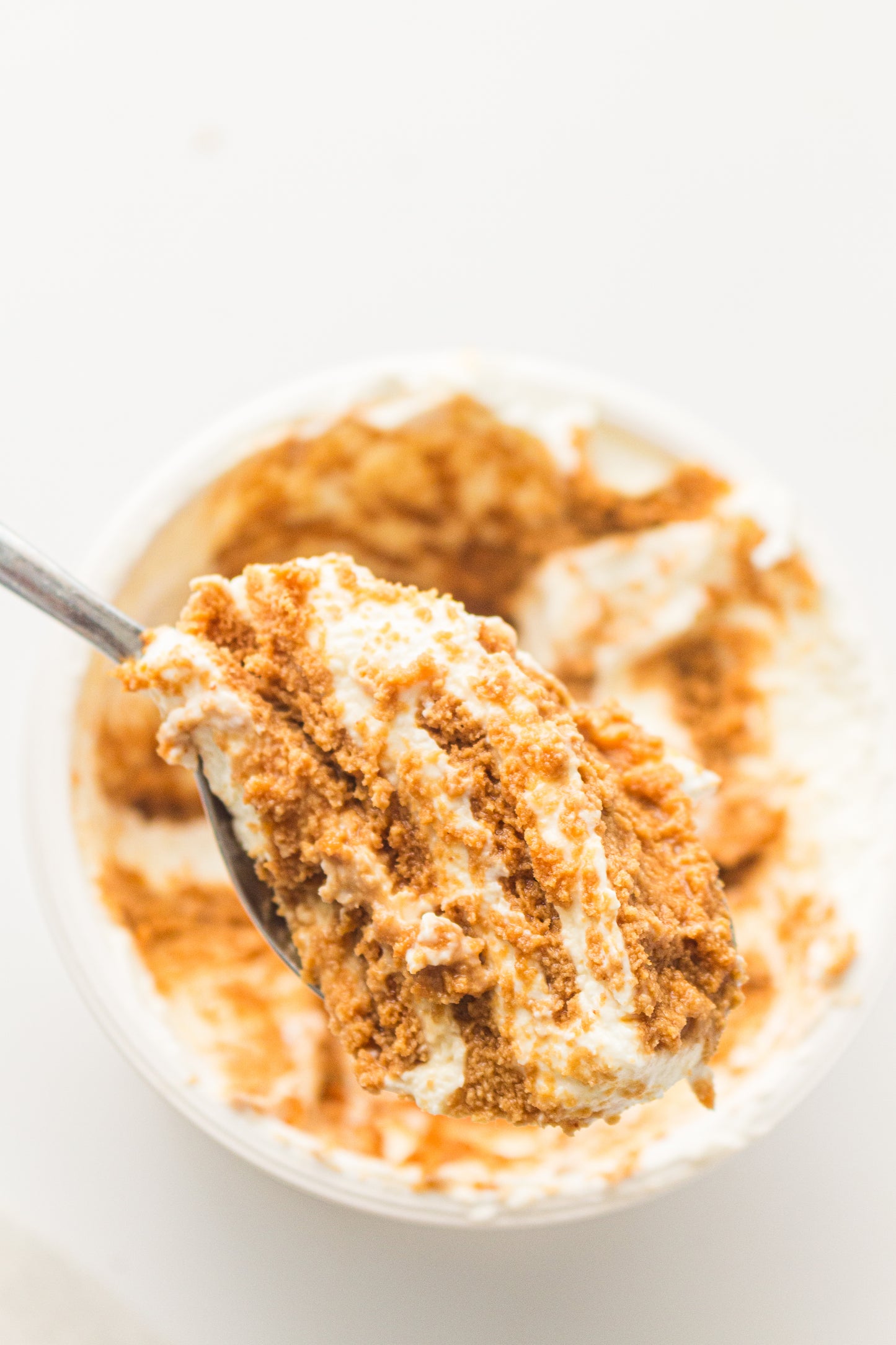 Two-Ingredient Japanese Yogurt Cheesecake – PLR Recipe