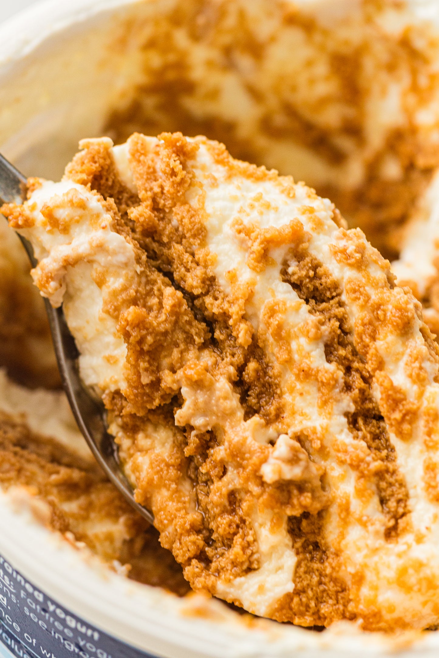 Two-Ingredient Japanese Yogurt Cheesecake – PLR Recipe