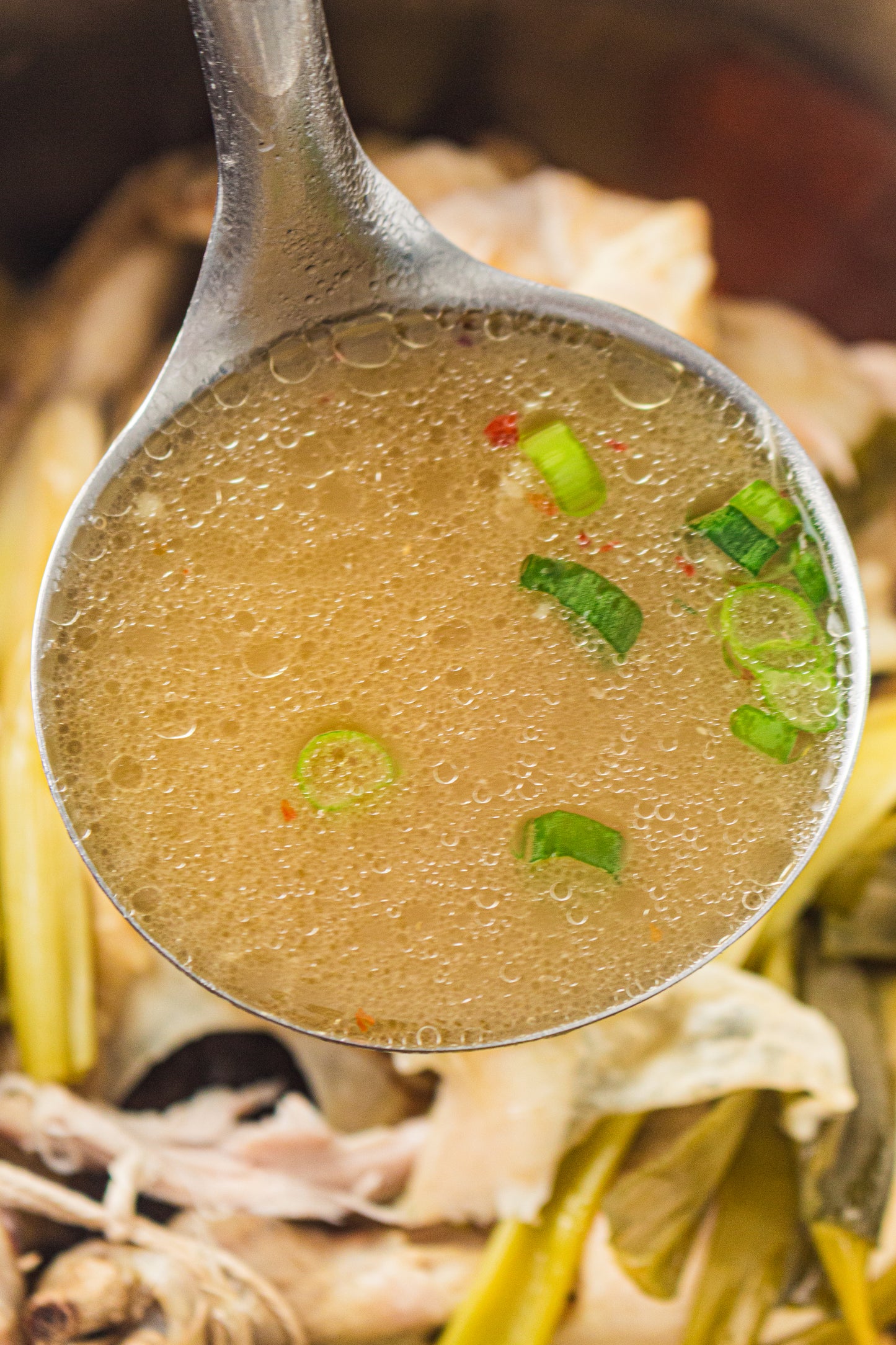 Viral Zero-Liquid Chinese Chicken Soup – PLR Recipe