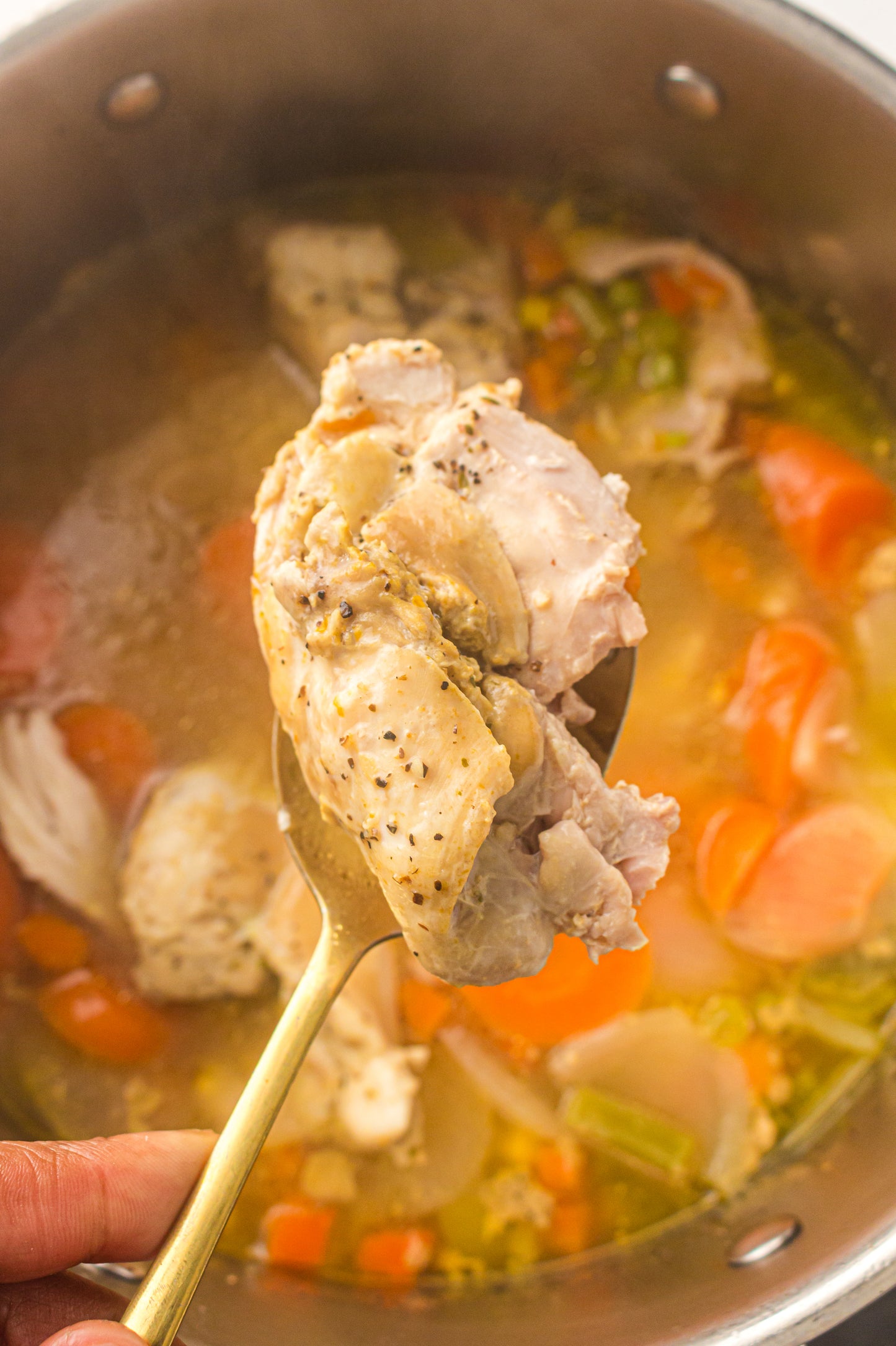 Chicken & Vegetable Soup