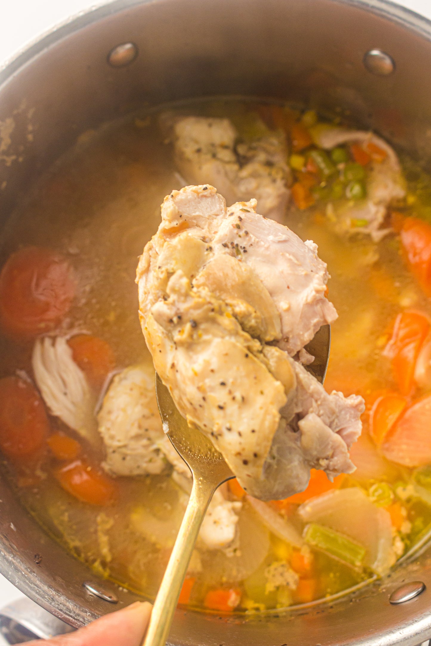 Chicken & Vegetable Soup