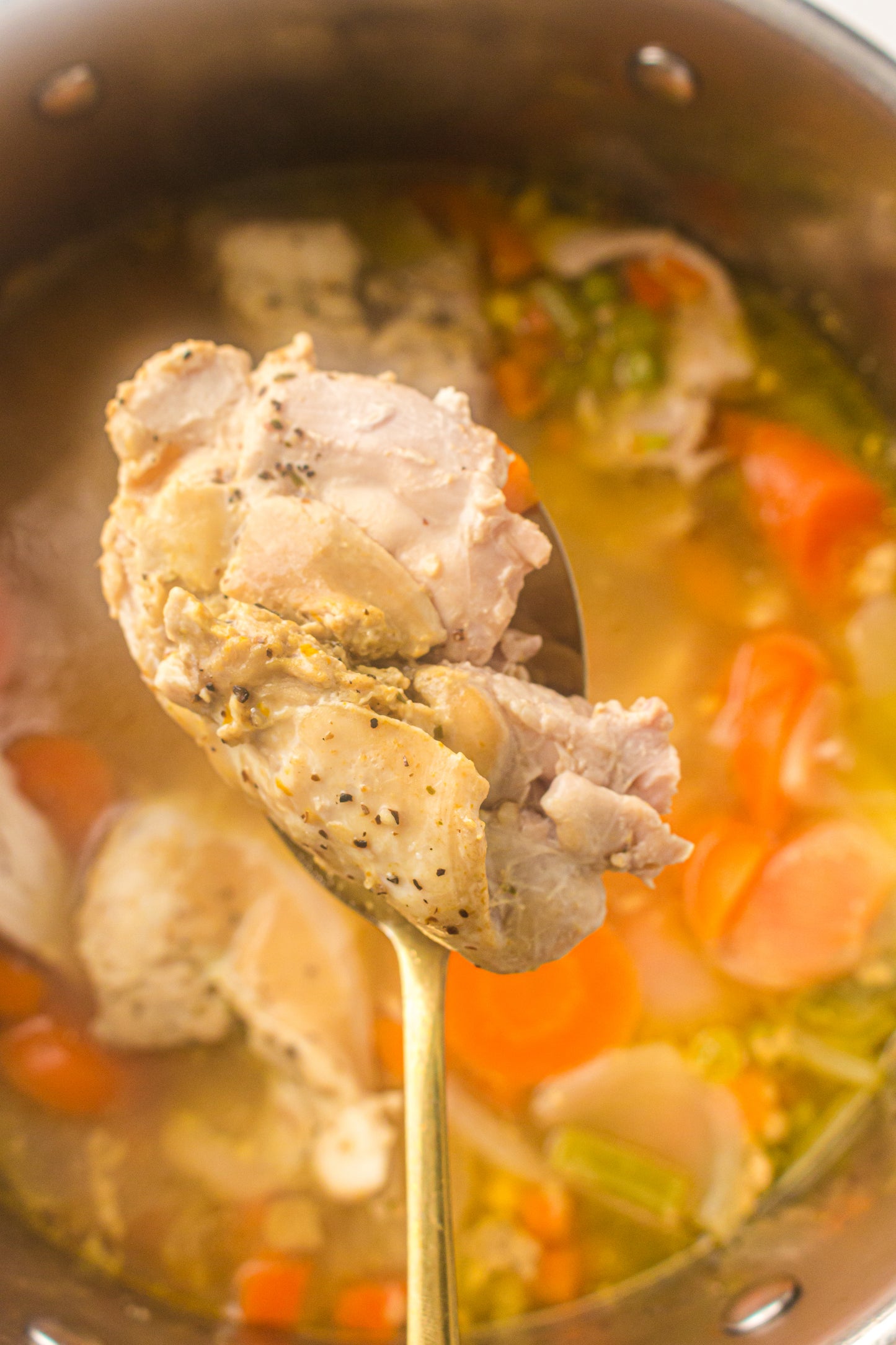 Chicken & Vegetable Soup