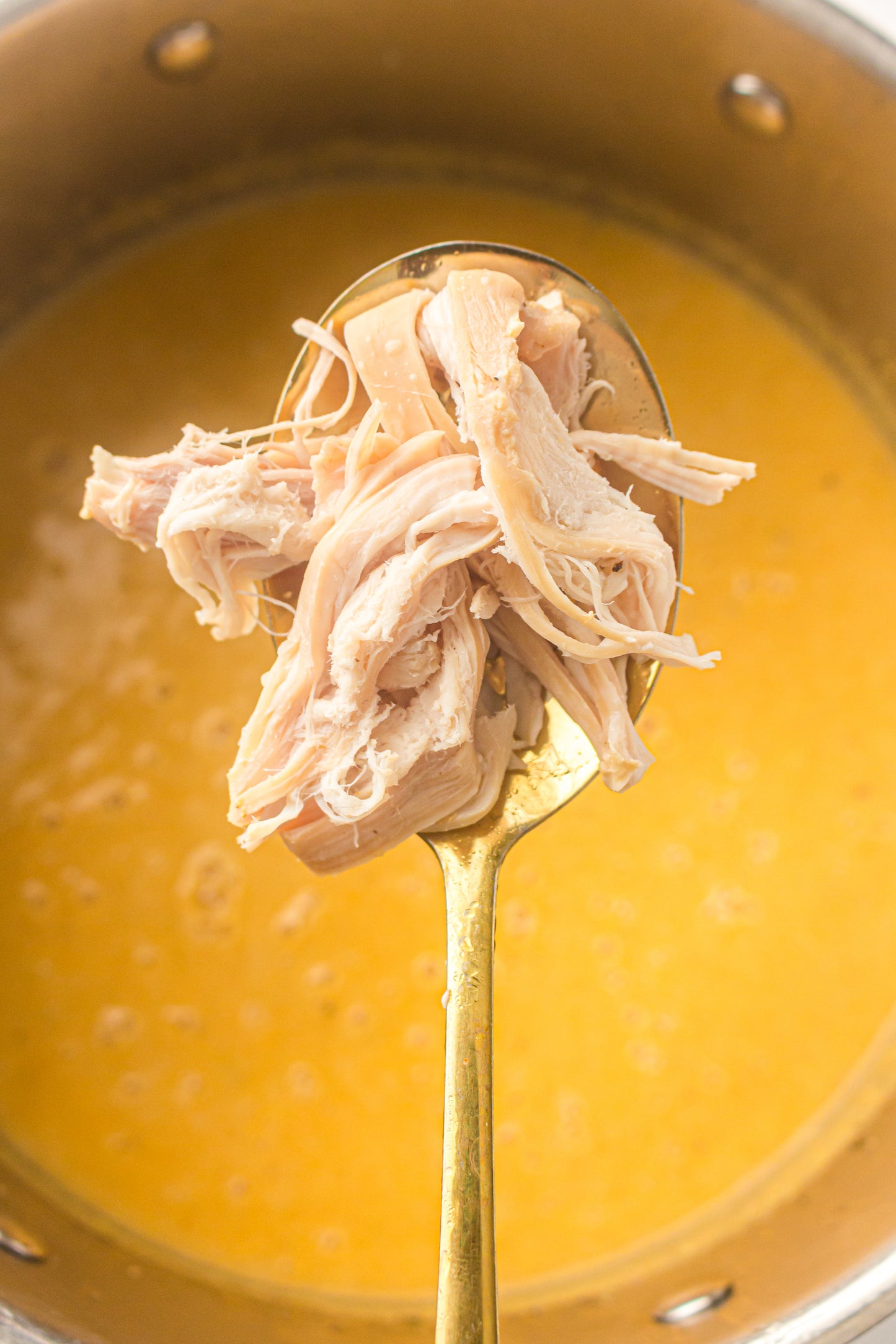 Chicken & Vegetable Soup