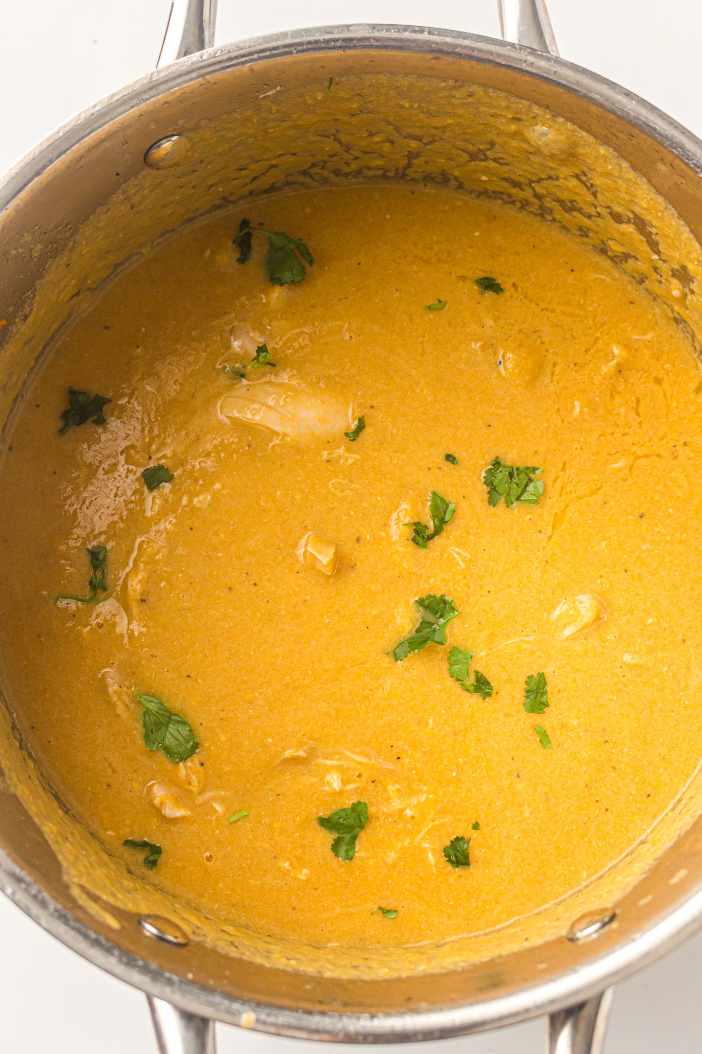 Chicken & Vegetable Soup