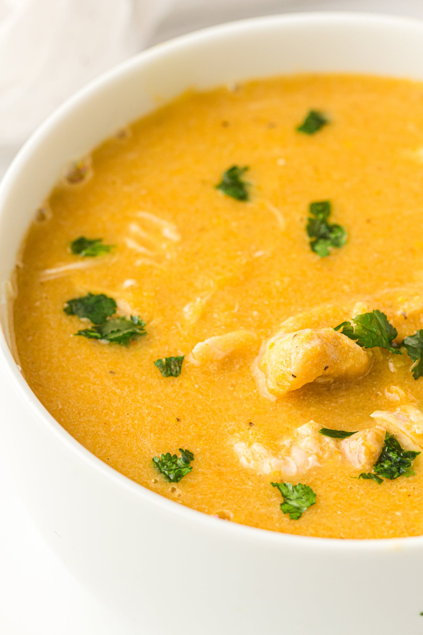 Chicken & Vegetable Soup