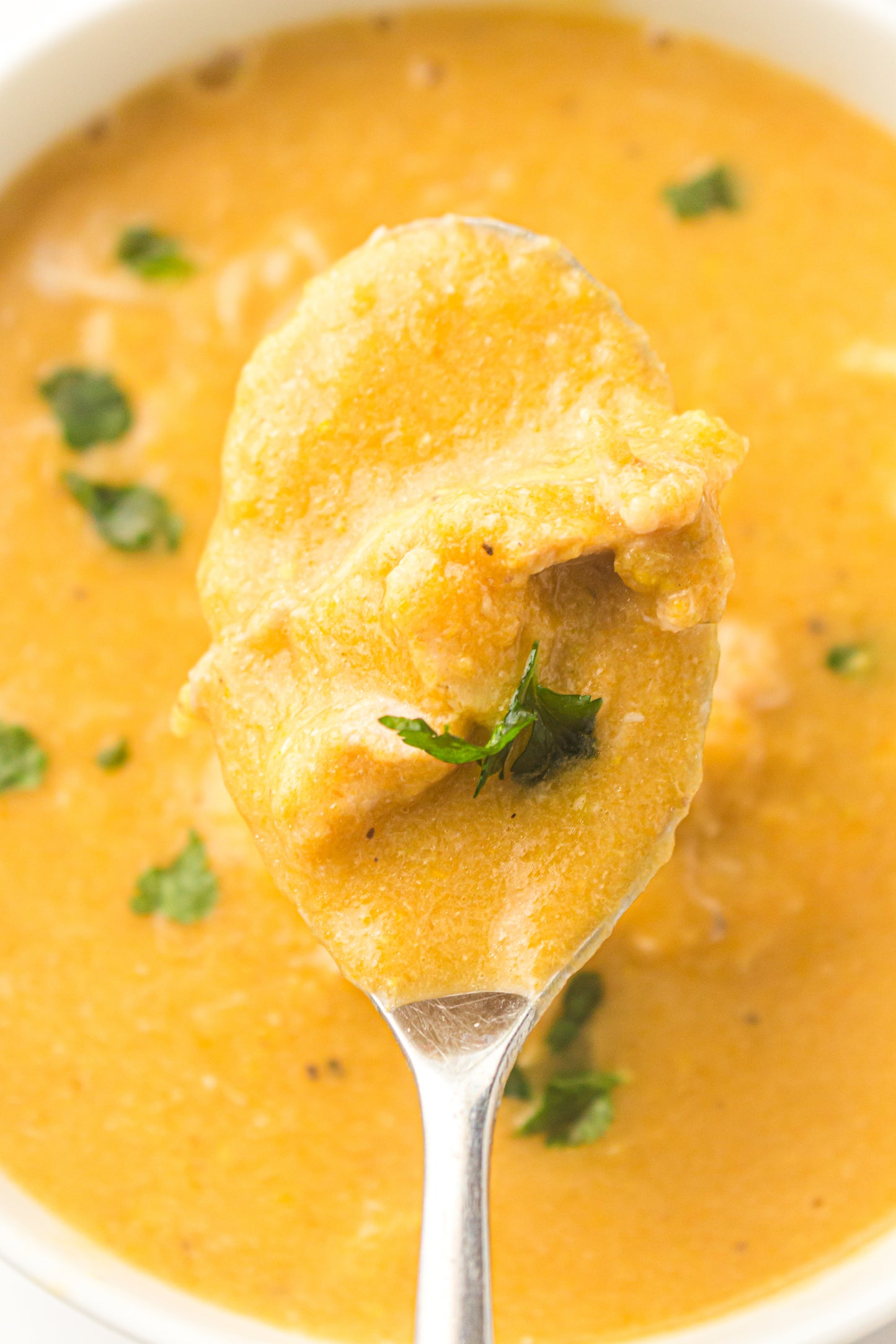 Chicken & Vegetable Soup