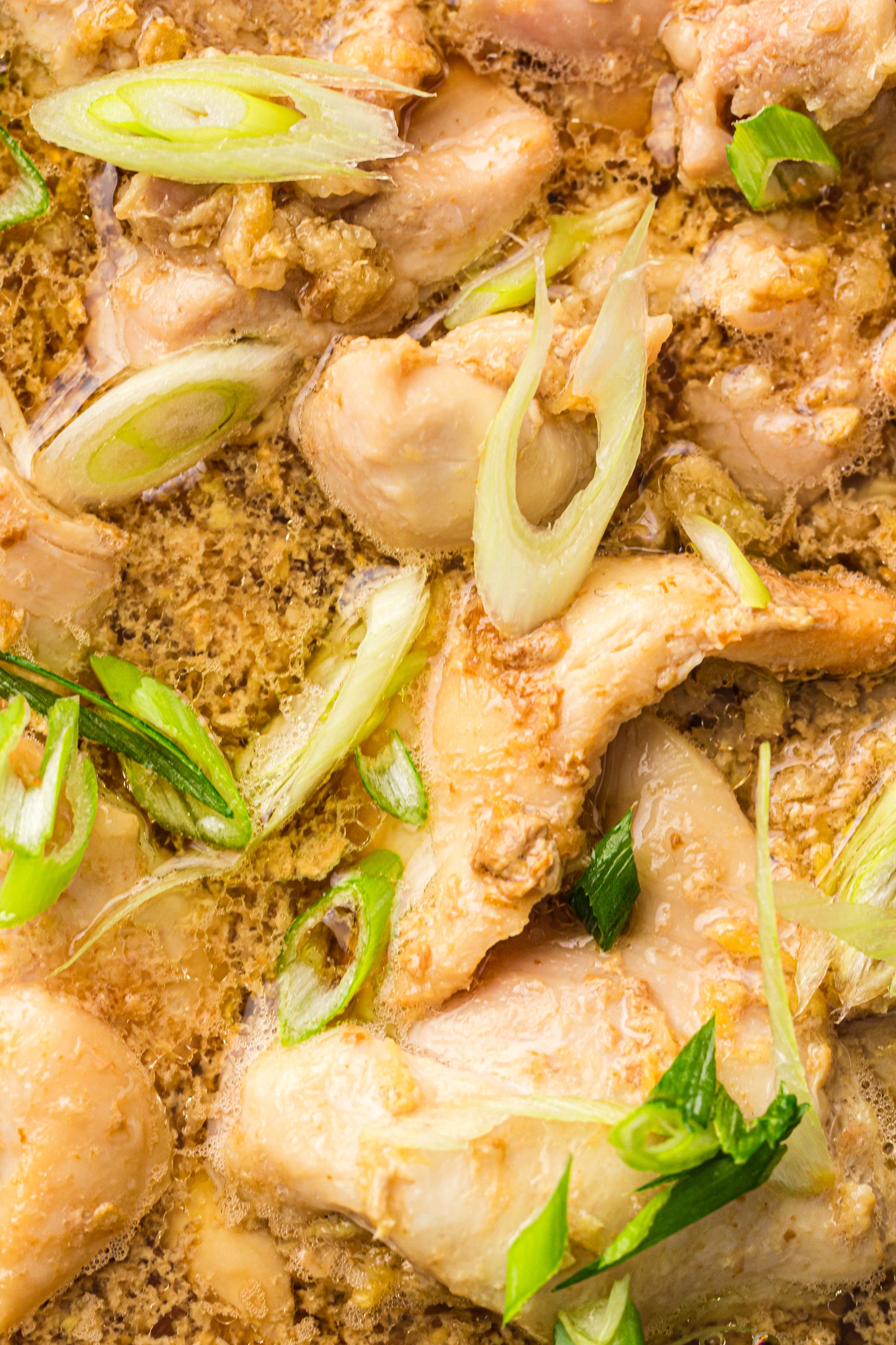 Slow Cooker Honey Garlic Chicken - PLR Recipe