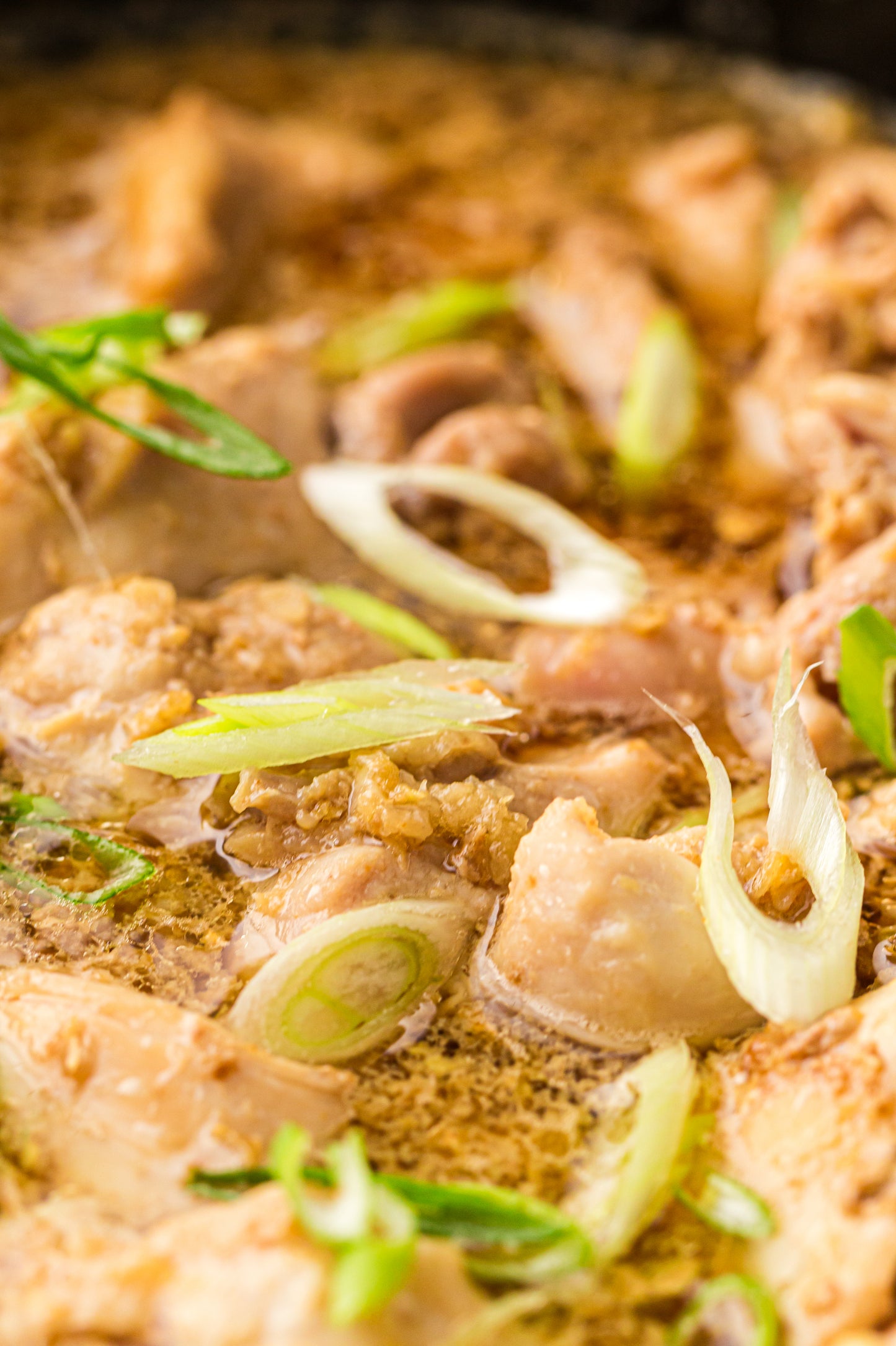 Slow Cooker Honey Garlic Chicken - PLR Recipe