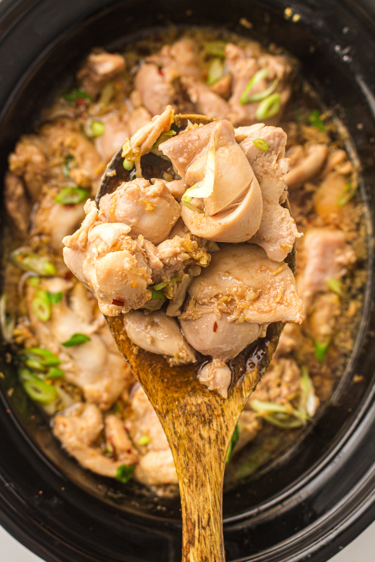 Slow Cooker Honey Garlic Chicken - PLR Recipe