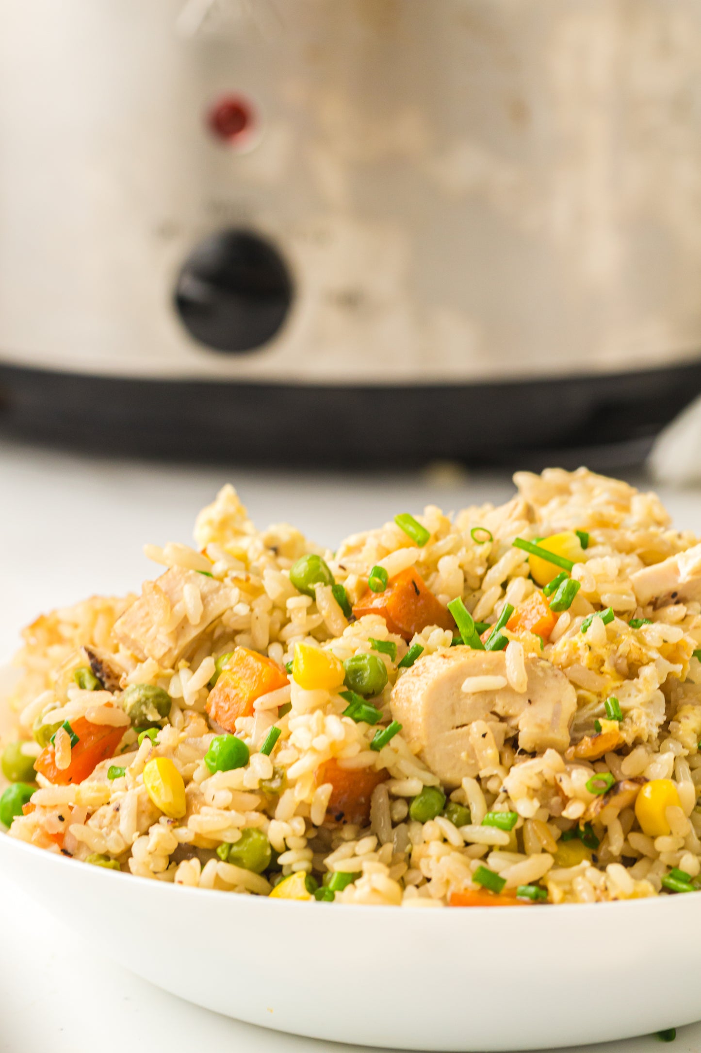 Slow Cooker Fried Rice
