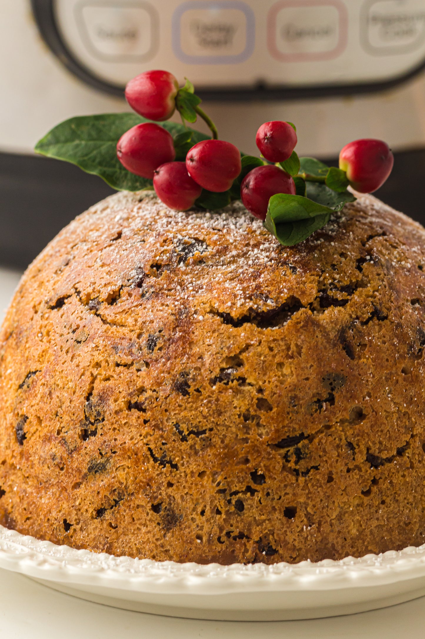 Instant Pot Figgy Pudding
