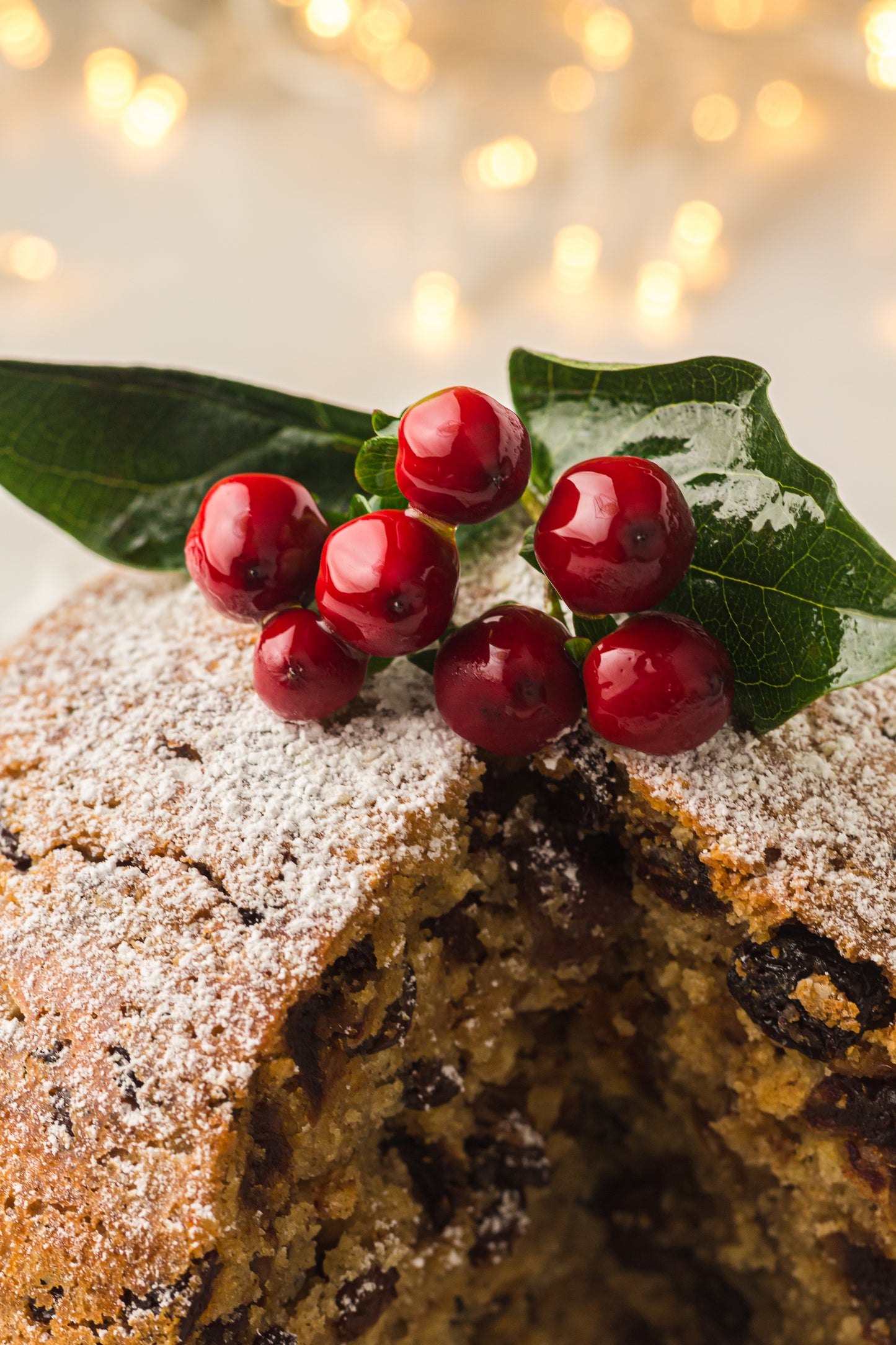 Instant Pot Figgy Pudding