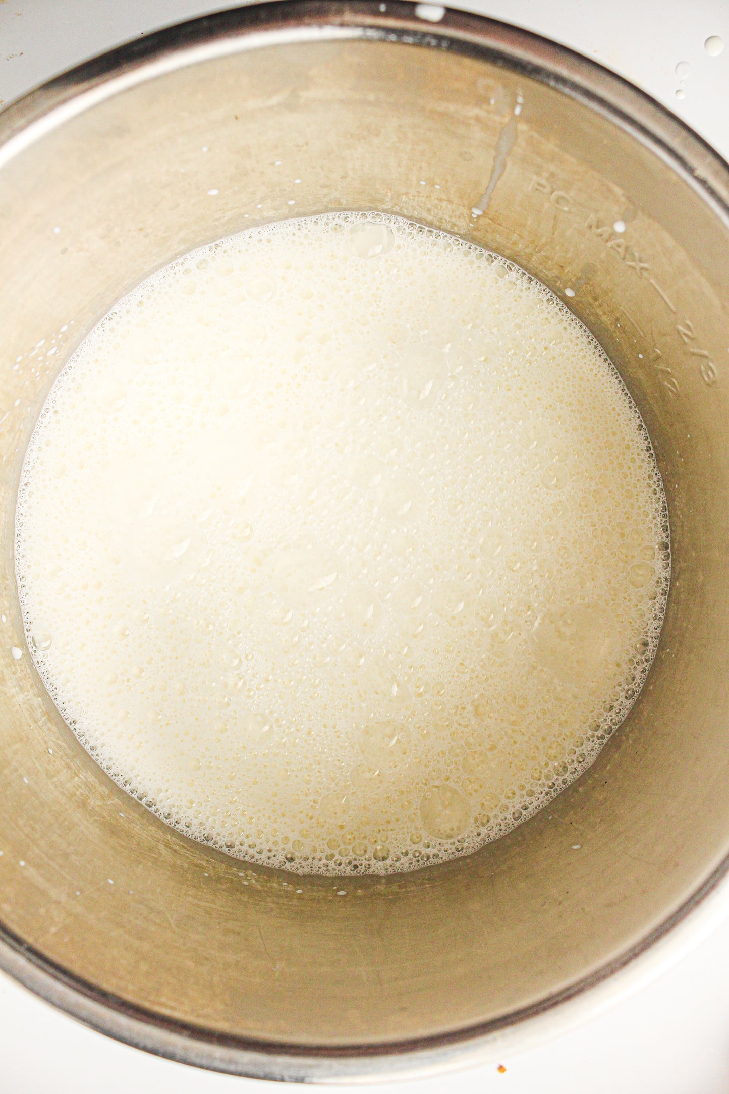 Instant Pot Yogurt  (PLR Recipe)