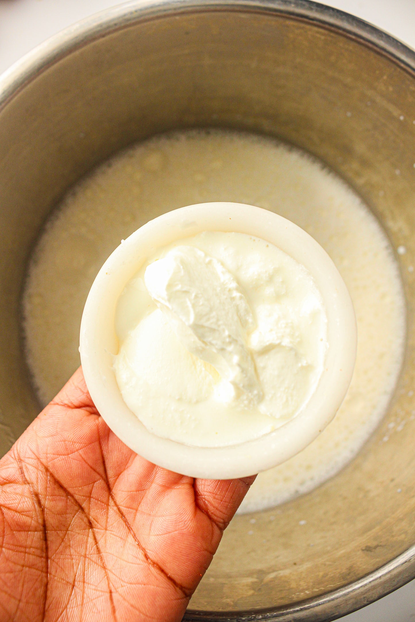 Instant Pot Yogurt  (PLR Recipe)