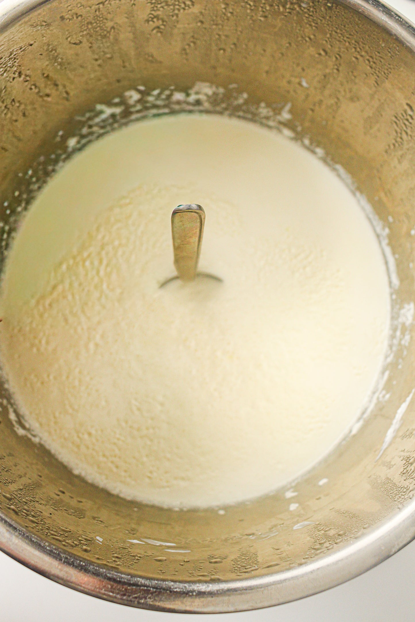 Instant Pot Yogurt  (PLR Recipe)