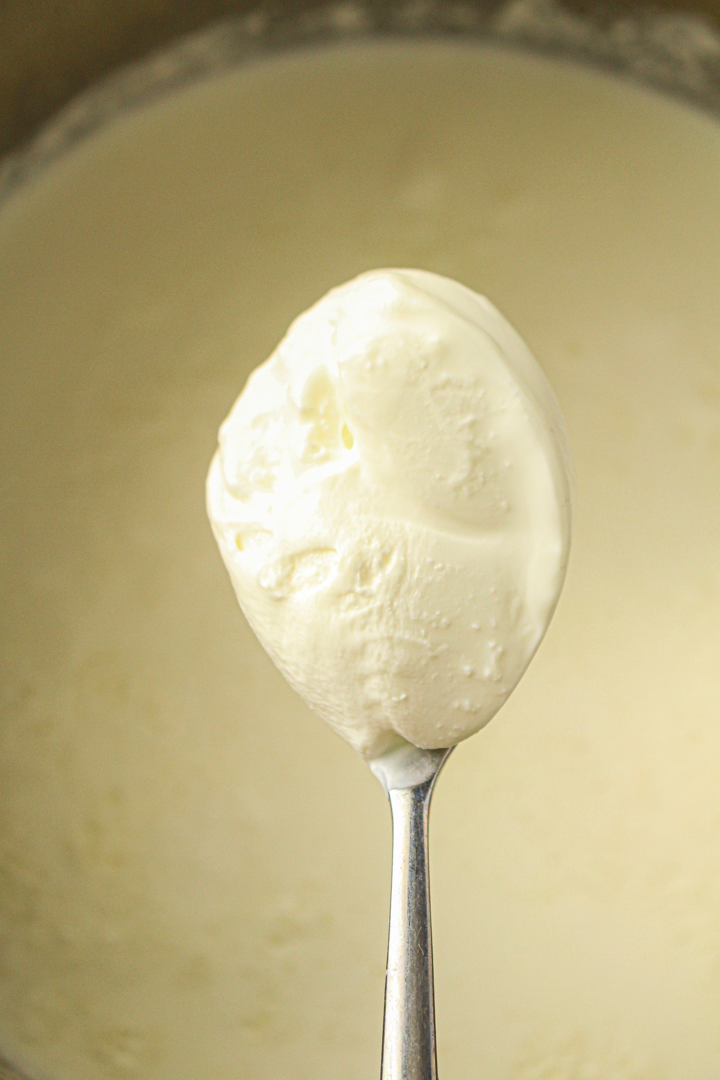Instant Pot Yogurt  (PLR Recipe)