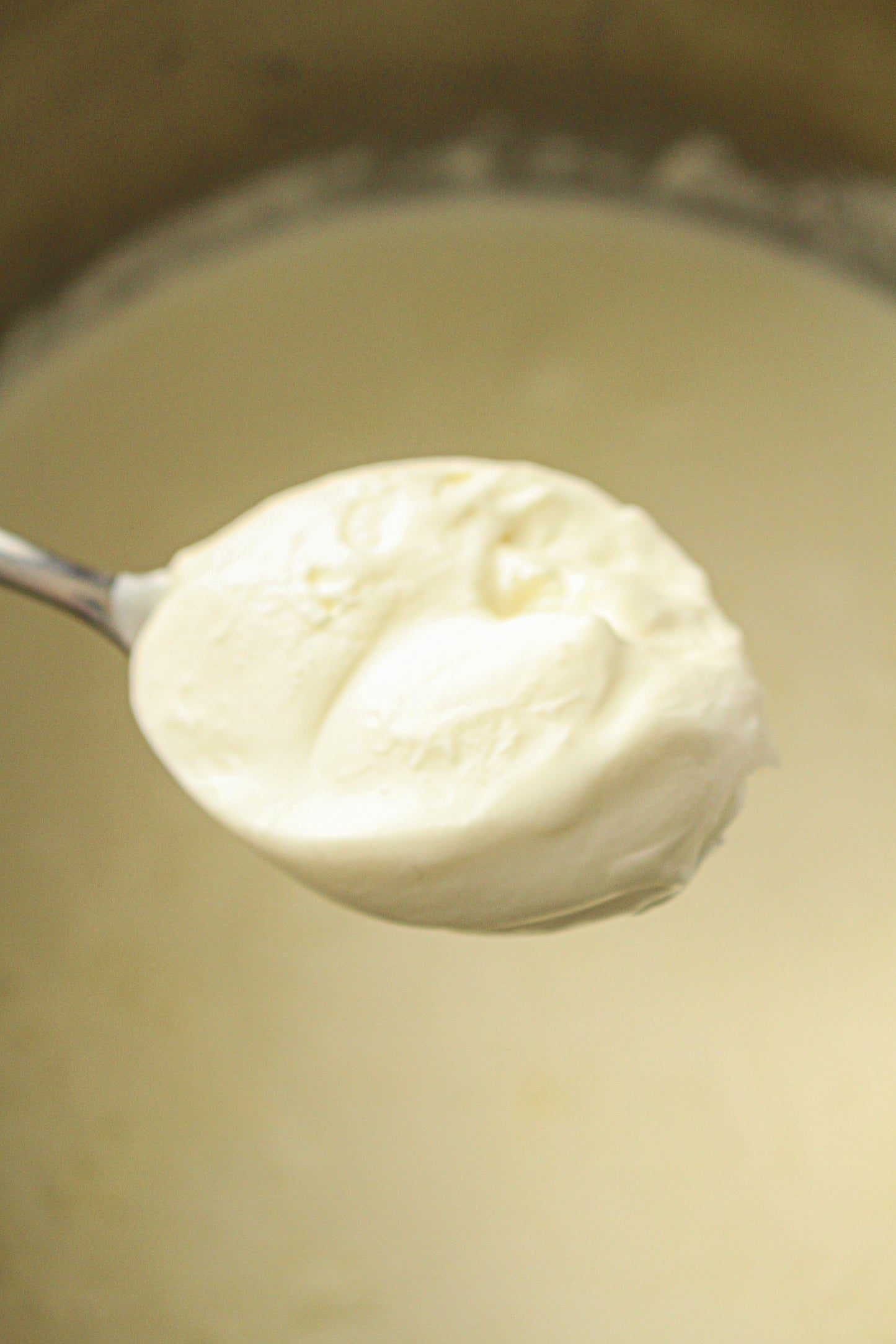 Instant Pot Yogurt  (PLR Recipe)