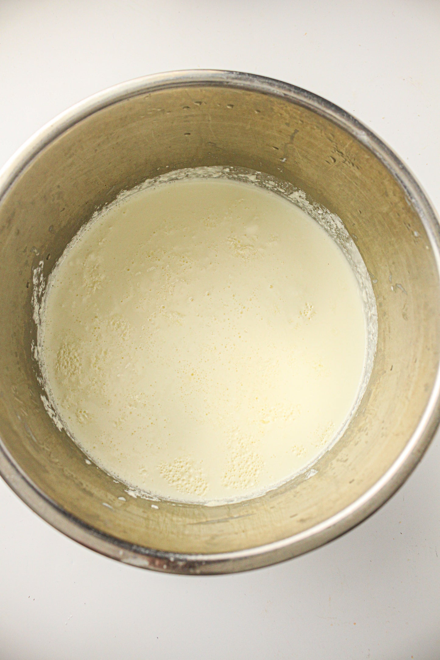 Instant Pot Yogurt  (PLR Recipe)