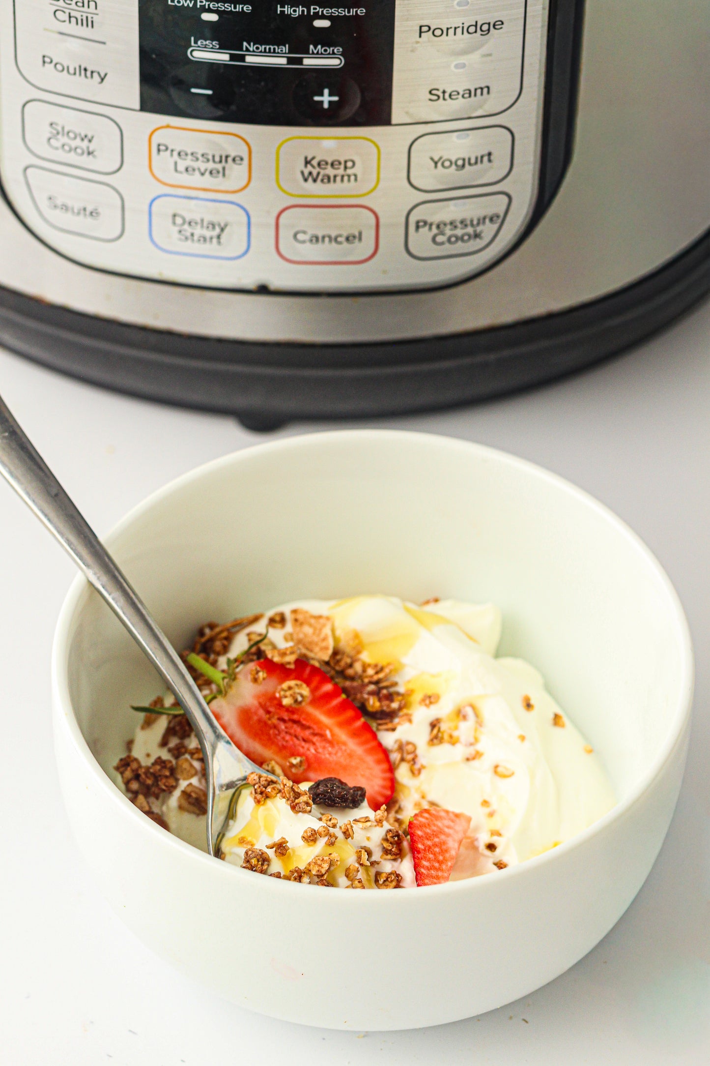 Instant Pot Yogurt  (PLR Recipe)