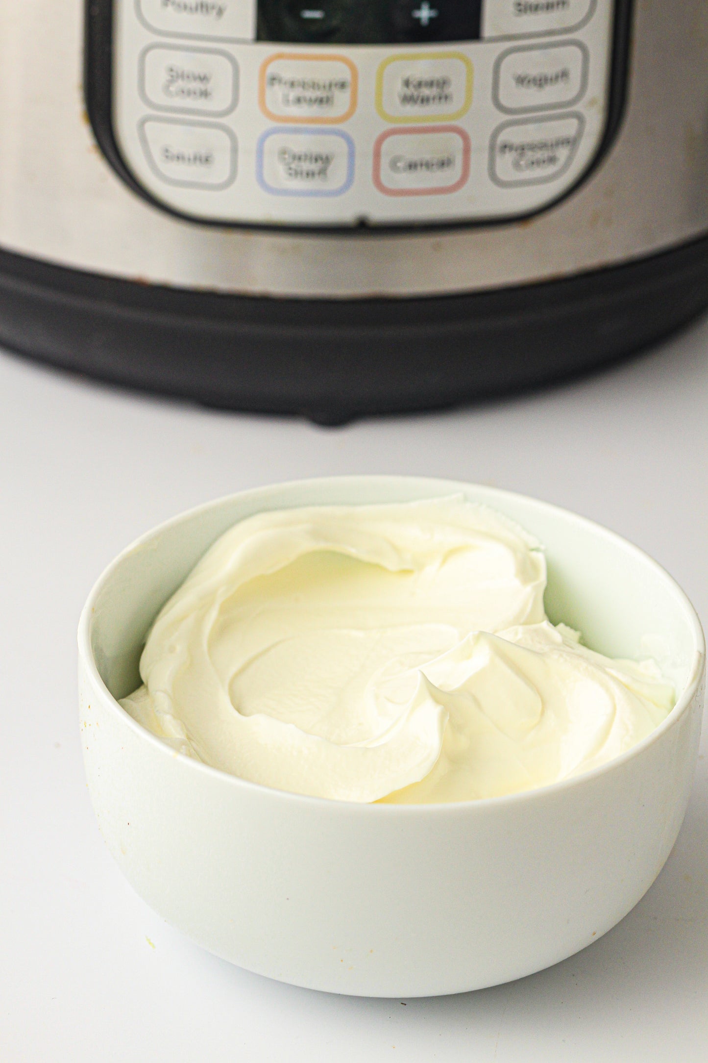 Instant Pot Yogurt  (PLR Recipe)