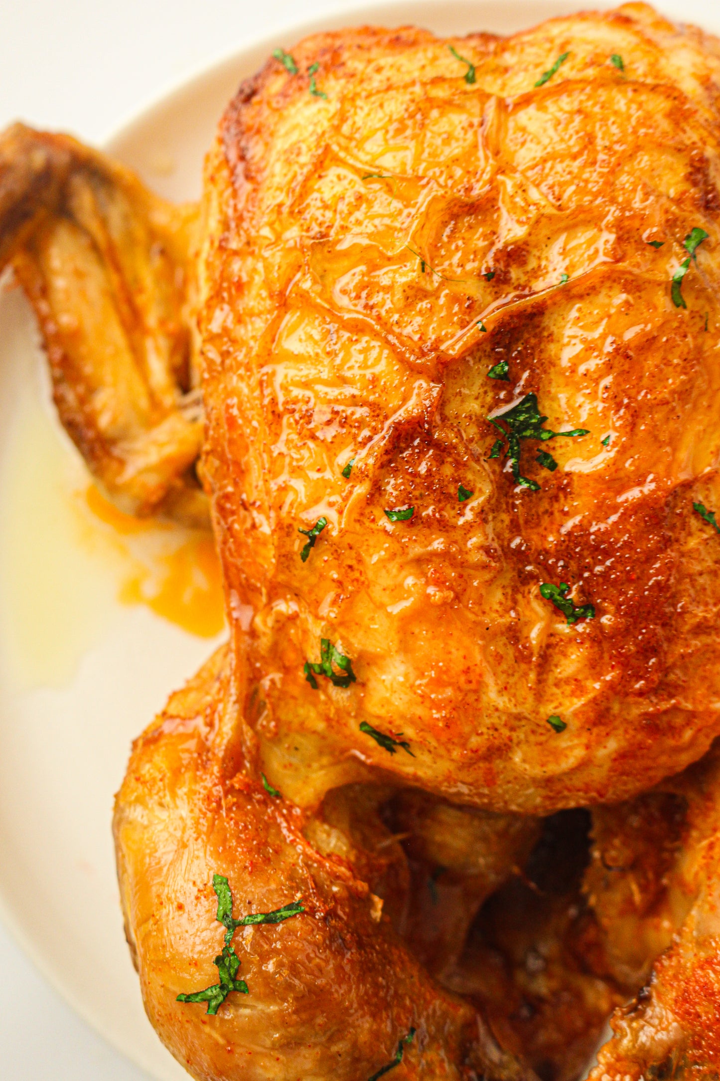 Slow Cooker Whole Chicken (PLR Recipe)