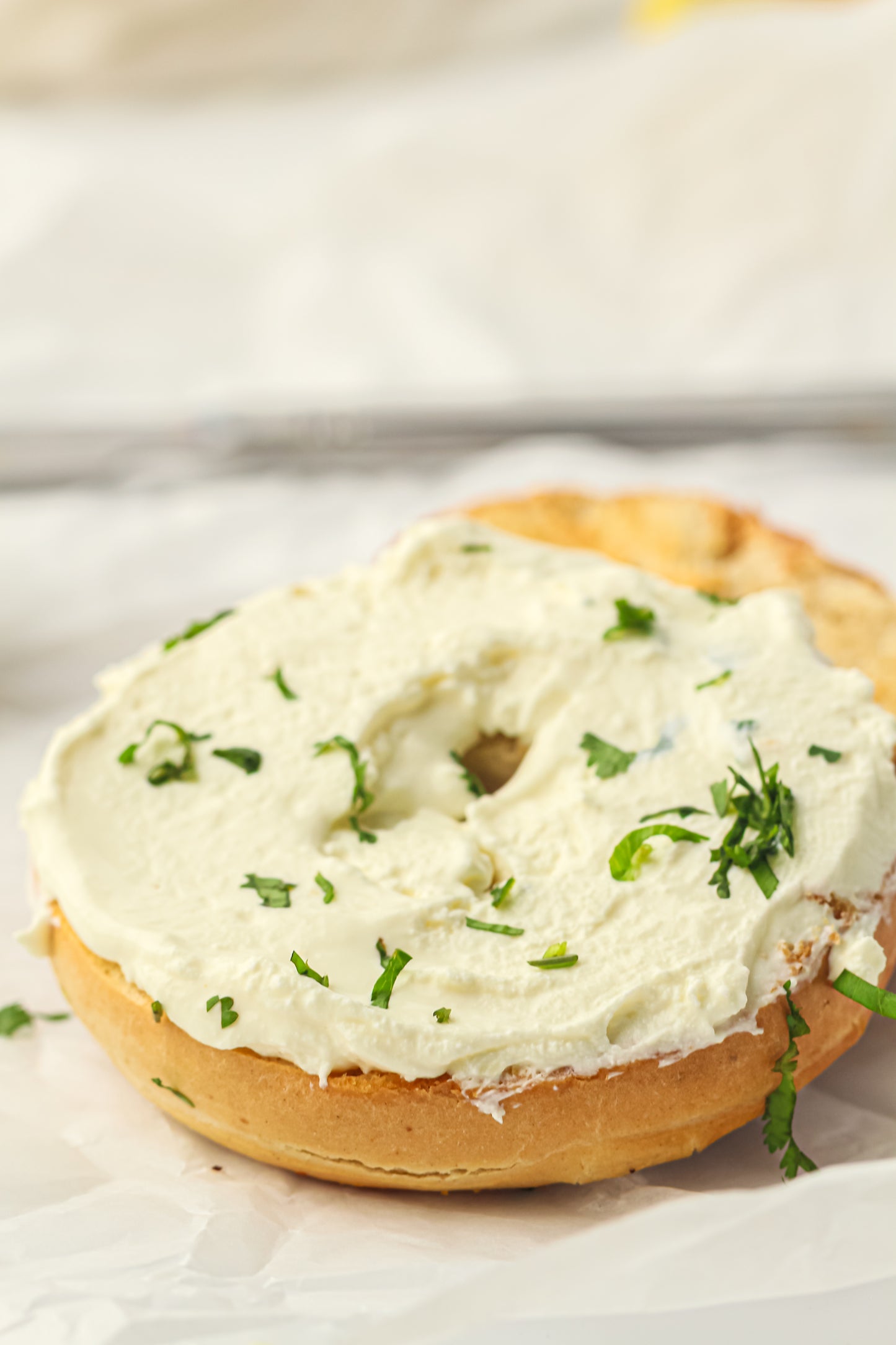 PLR Homemade Cream cheese