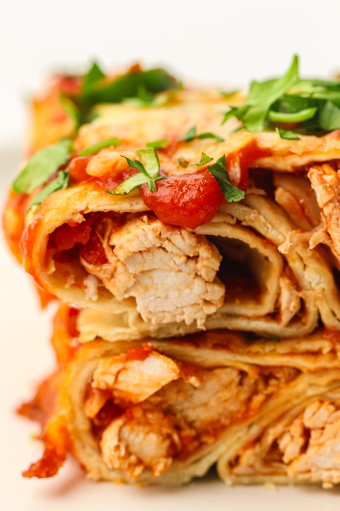 PLR Freezer Enchiladas