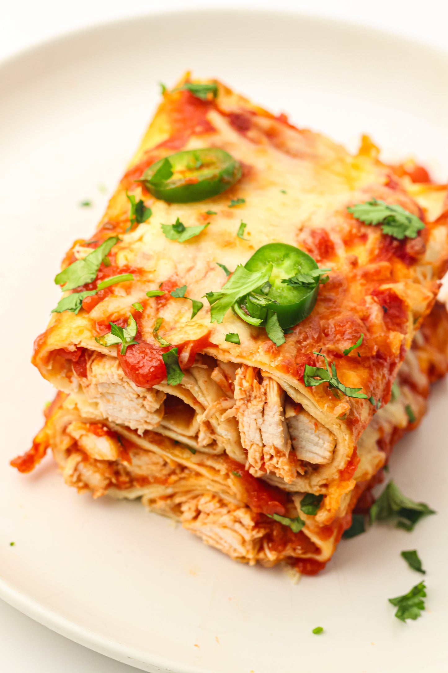 PLR Freezer Enchiladas