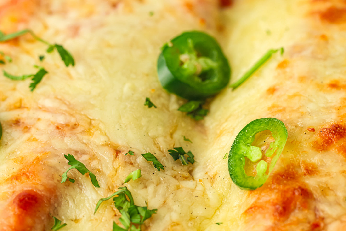 PLR Freezer Enchiladas