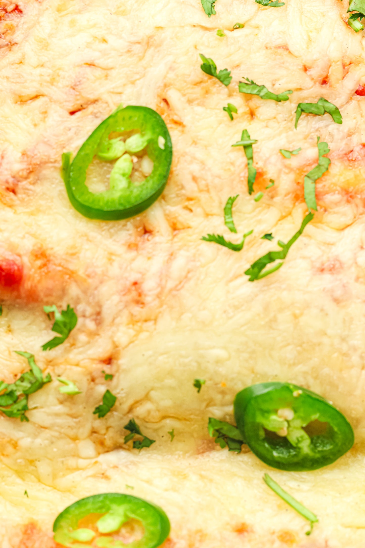 PLR Freezer Enchiladas