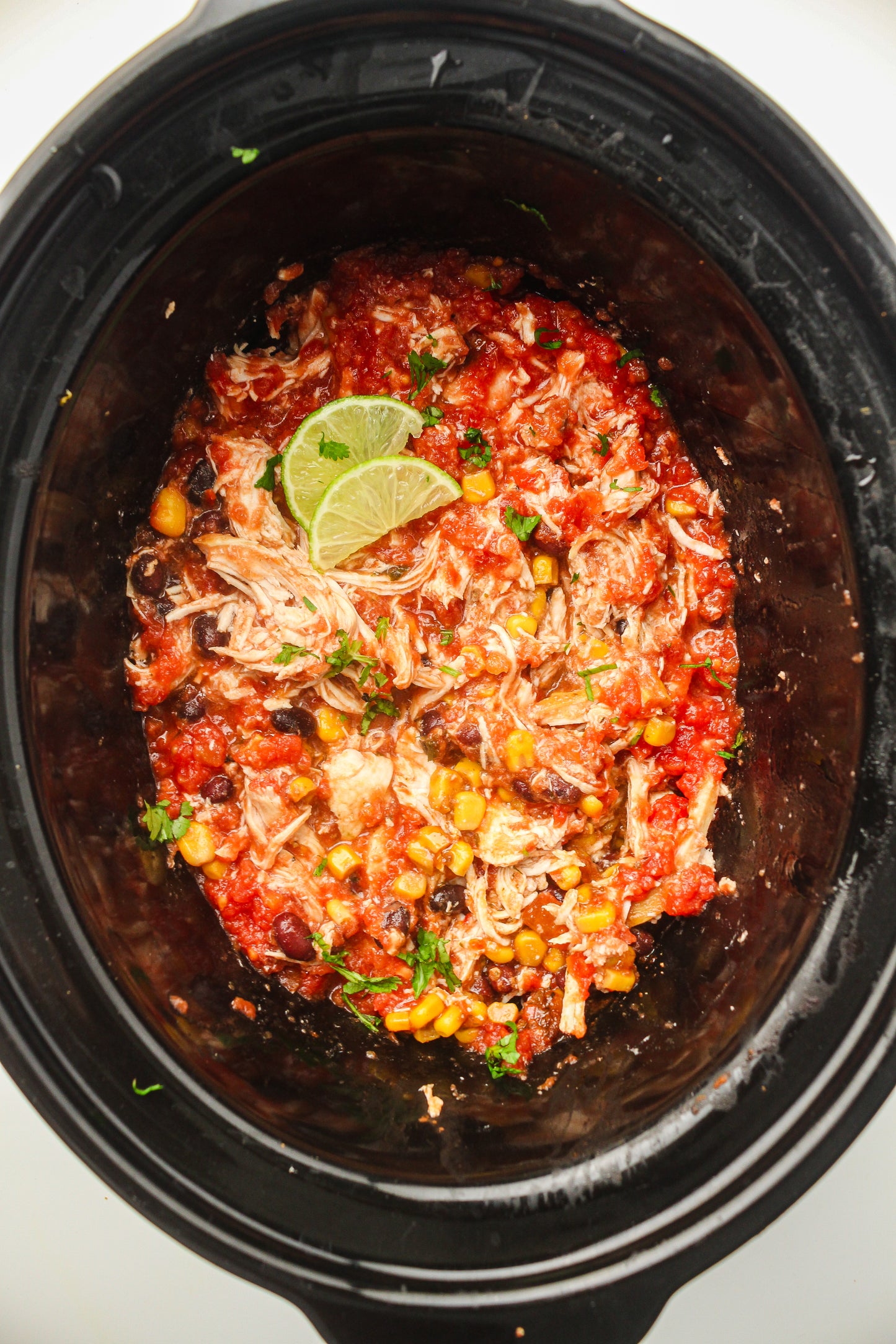 Slow Cooker Dump Bag Bundle (4x Recipes)