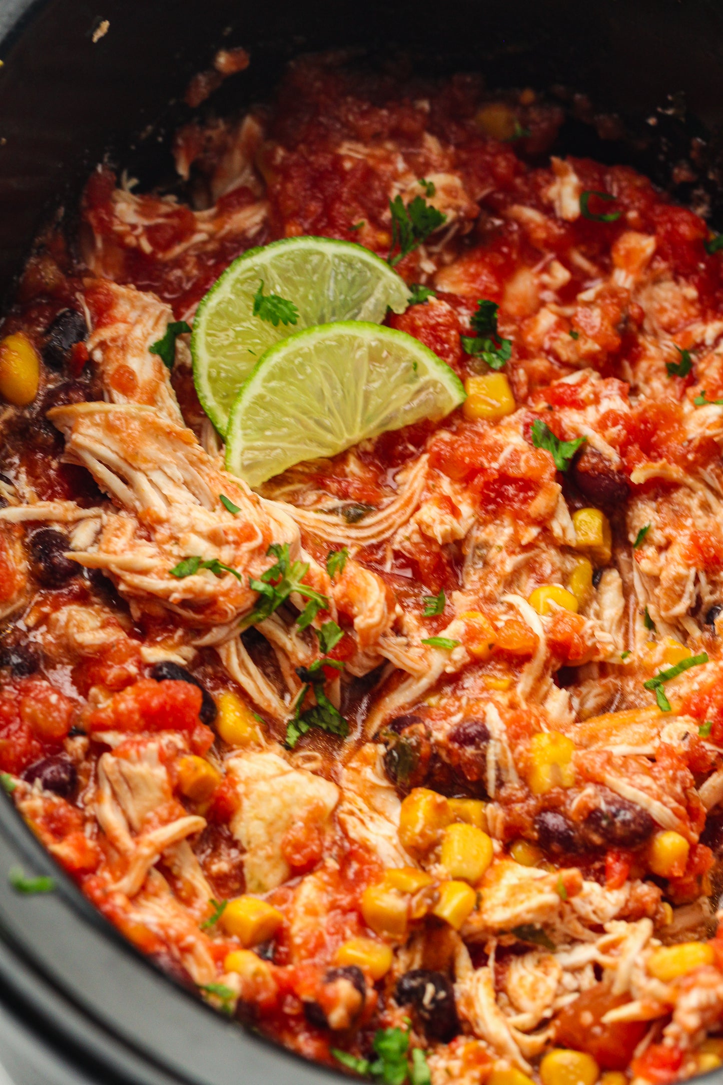 Slow Cooker Dump Bag Bundle (4x Recipes)