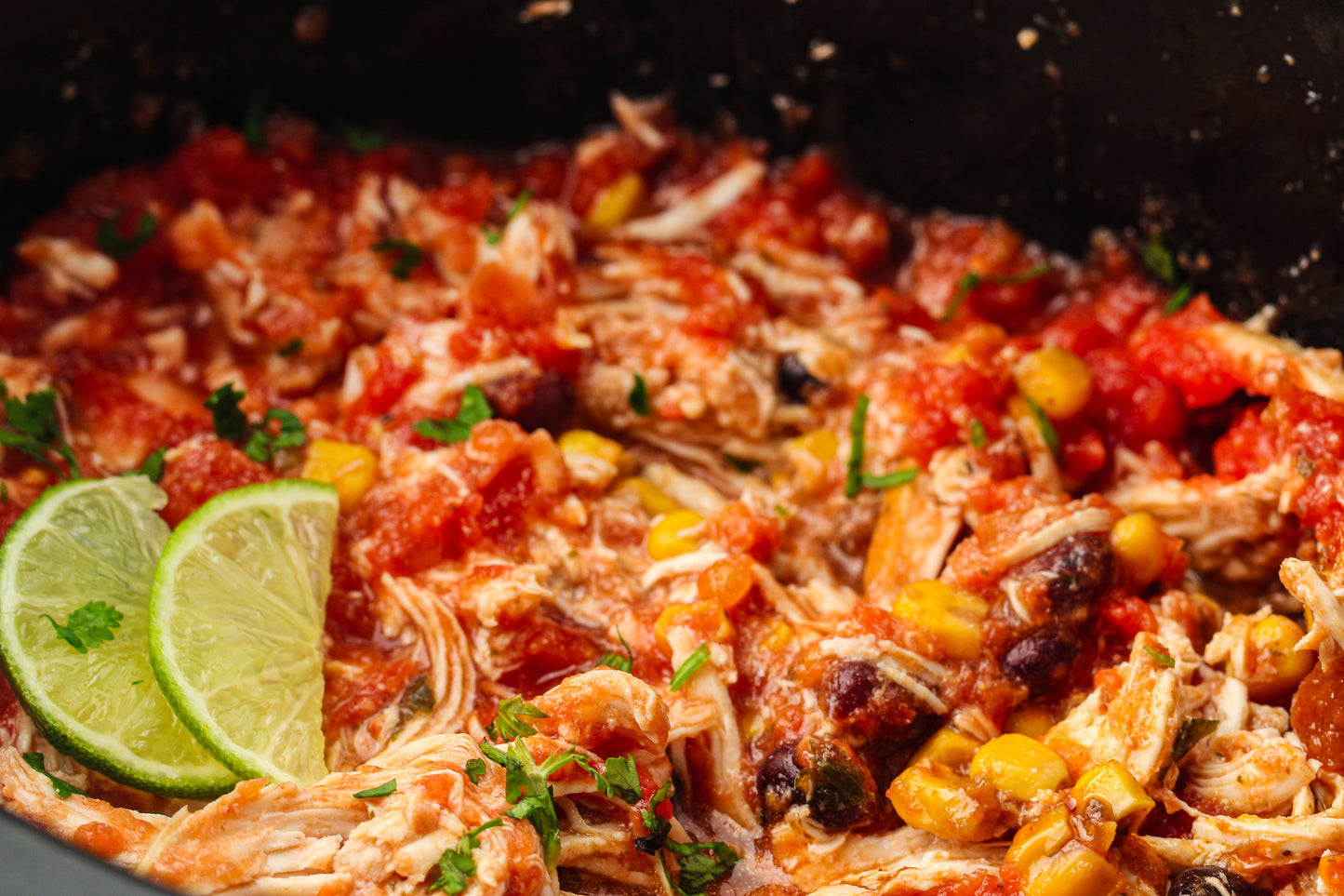 Slow Cooker Dump Bag Bundle (4x Recipes)