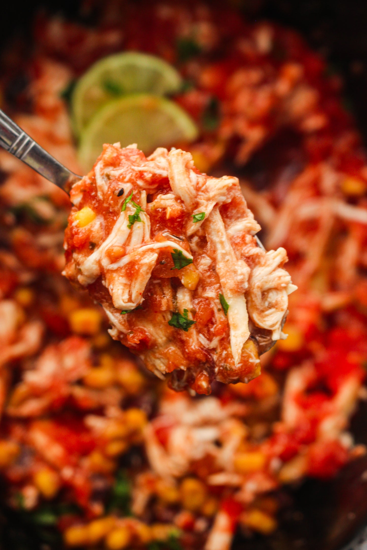 Slow Cooker Dump Bag Bundle (4x Recipes)