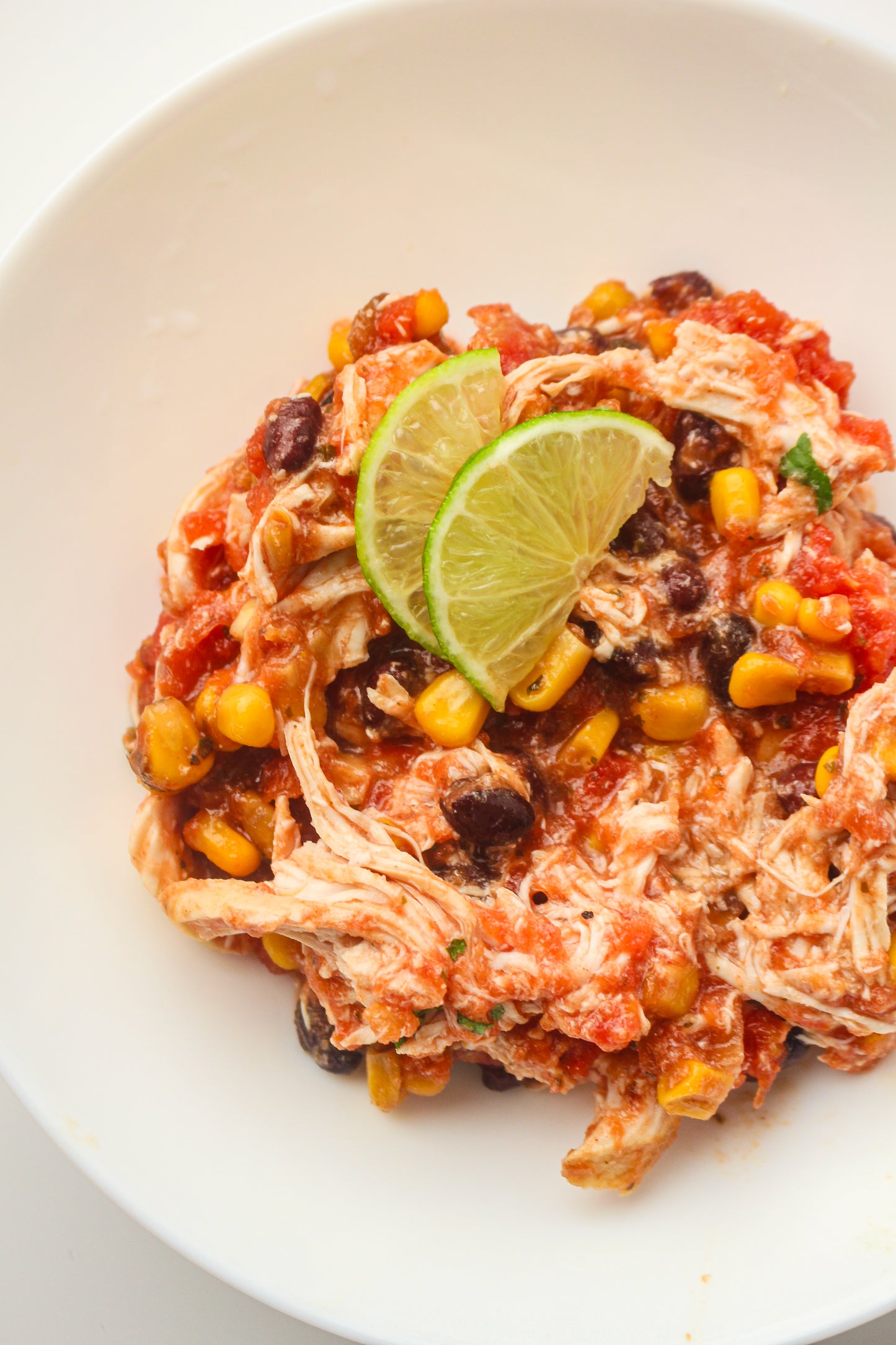 Slow Cooker Dump Bag Bundle (4x Recipes)