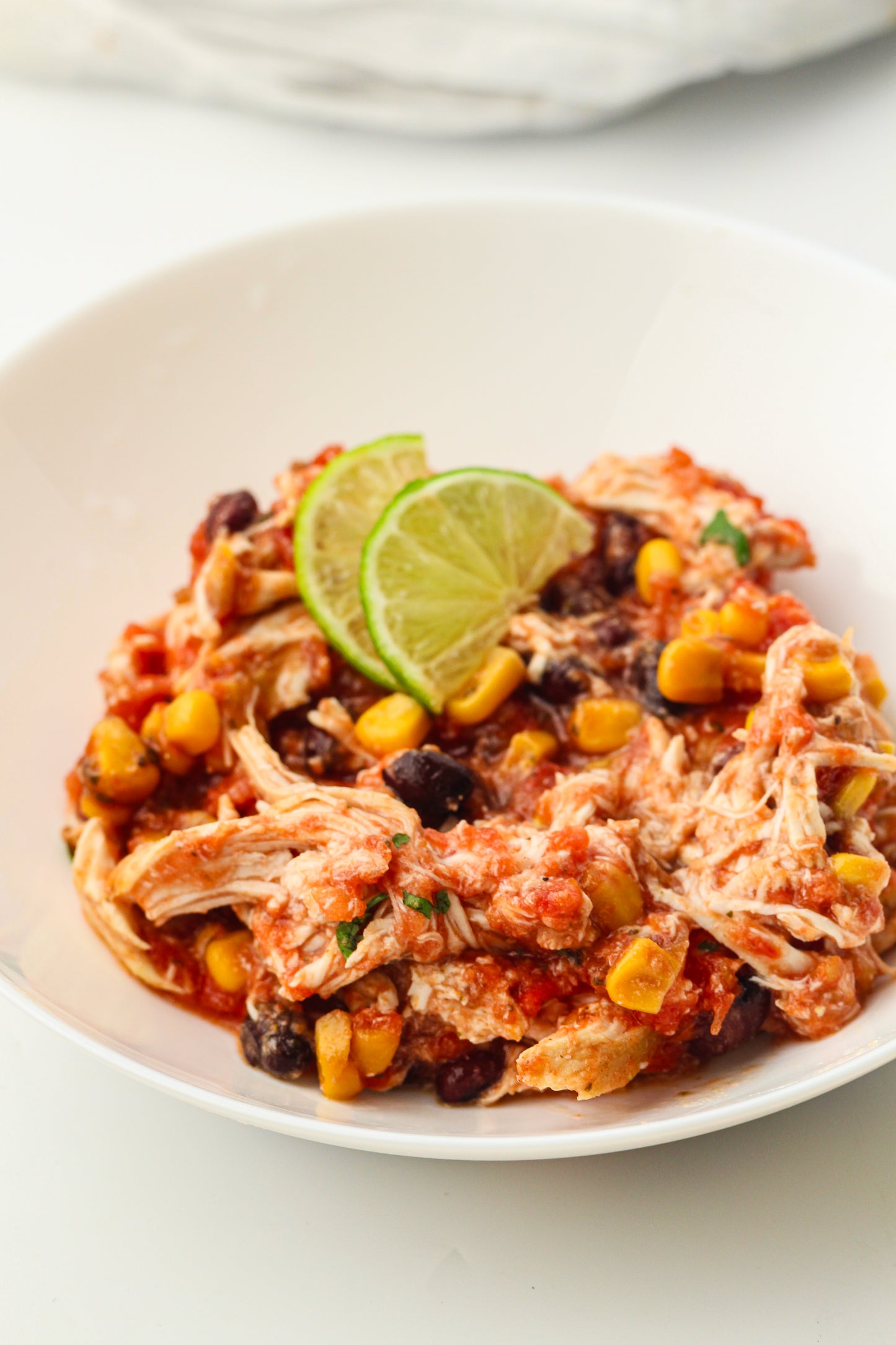 Slow Cooker Dump Bag Bundle (4x Recipes)
