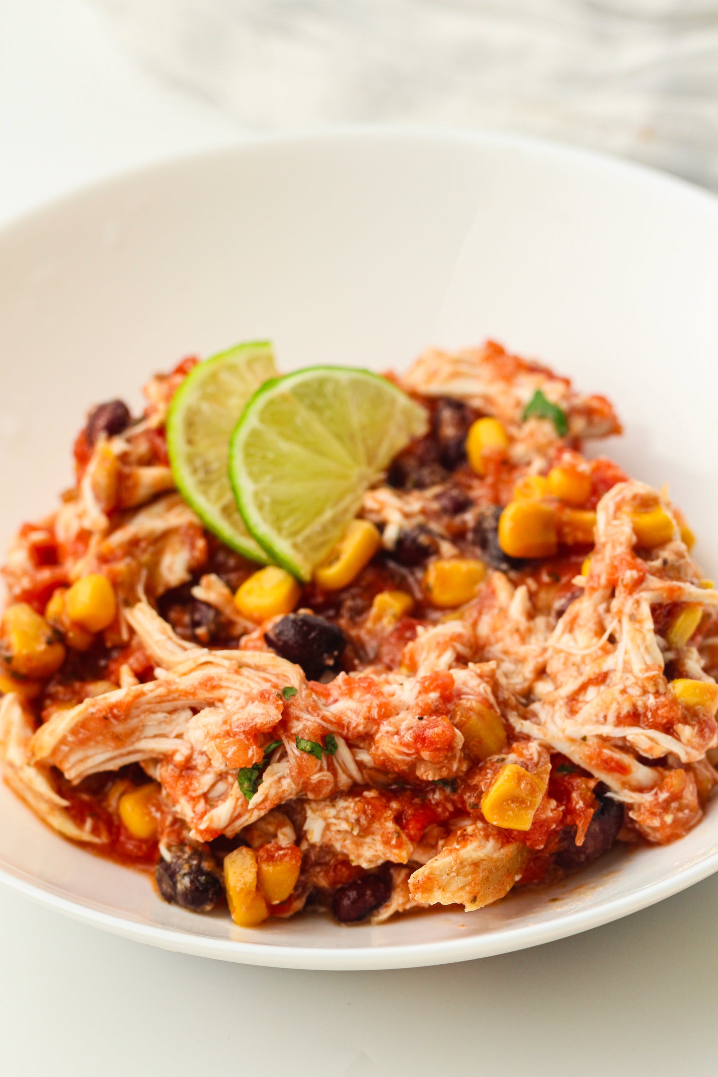 Slow Cooker Dump Bag Bundle (4x Recipes)