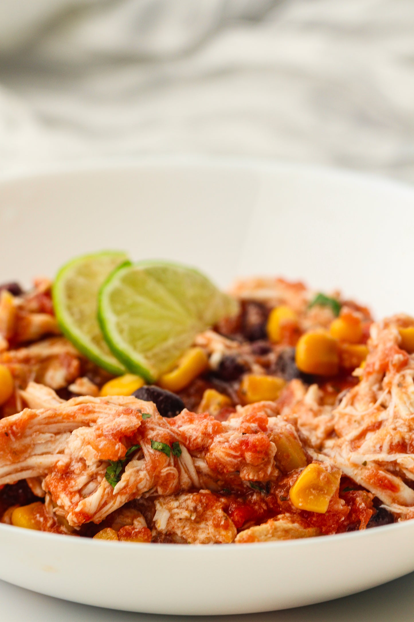 Slow Cooker Dump Bag Bundle (4x Recipes)