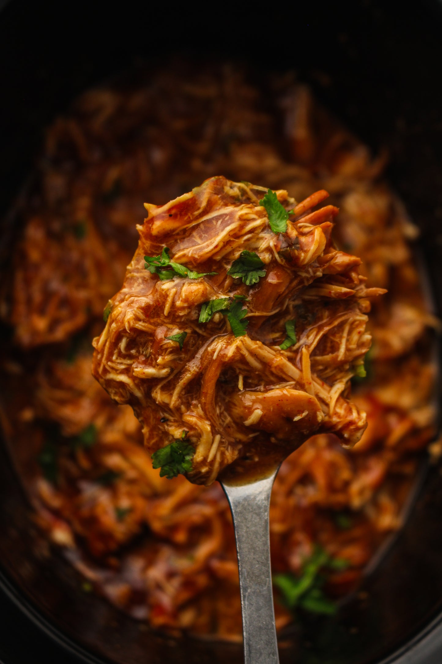Slow Cooker Dump Bag Bundle (4x Recipes)