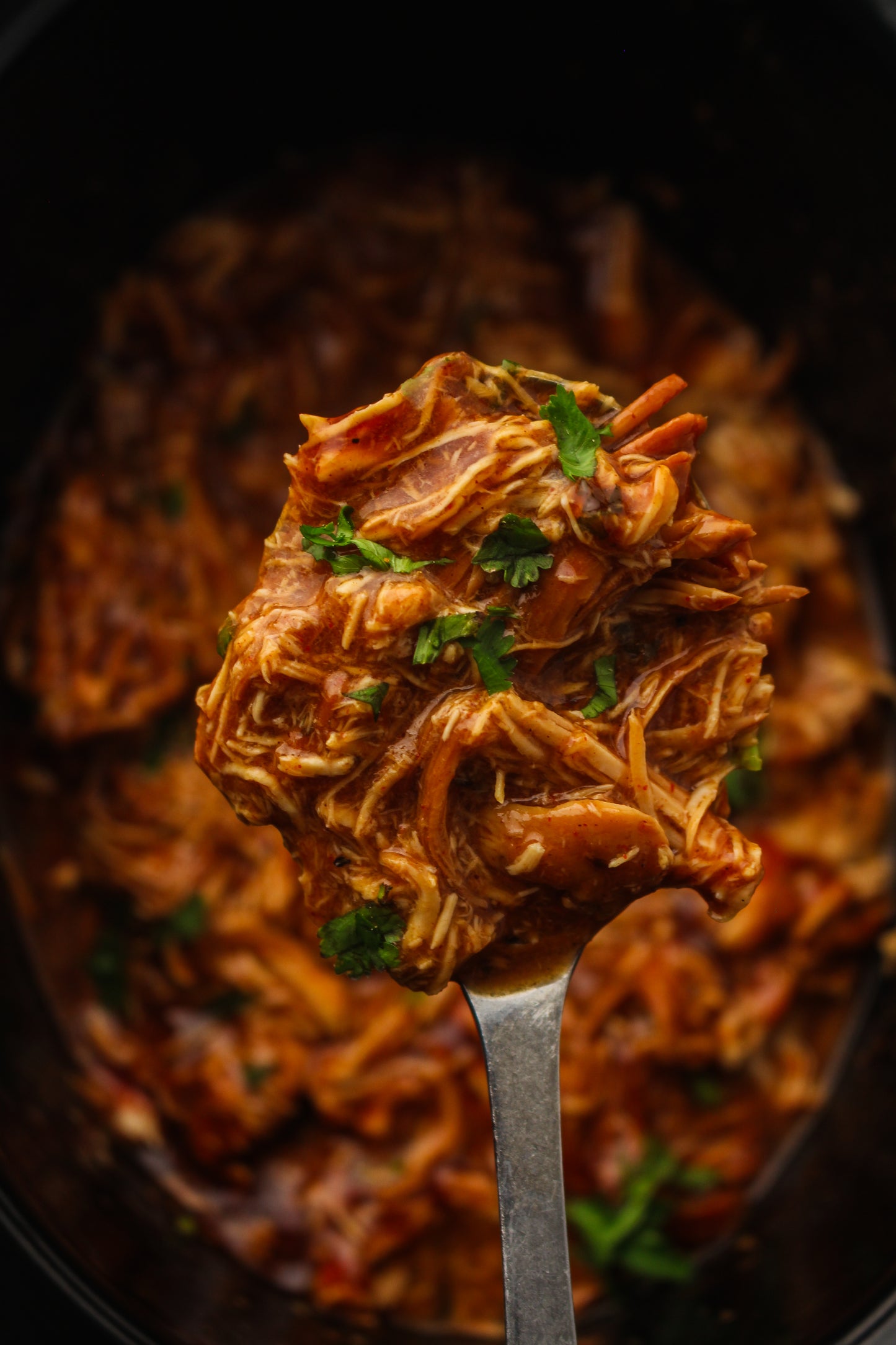 Slow Cooker Dump Bag Bundle (4x Recipes)