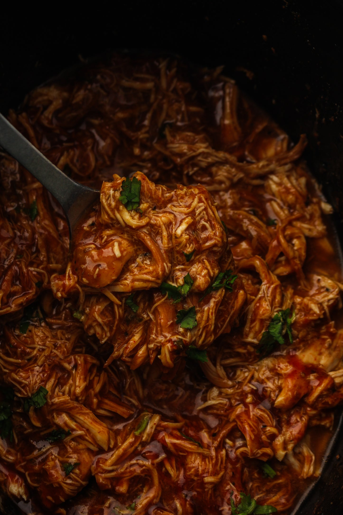 Slow Cooker Dump Bag Bundle (4x Recipes)