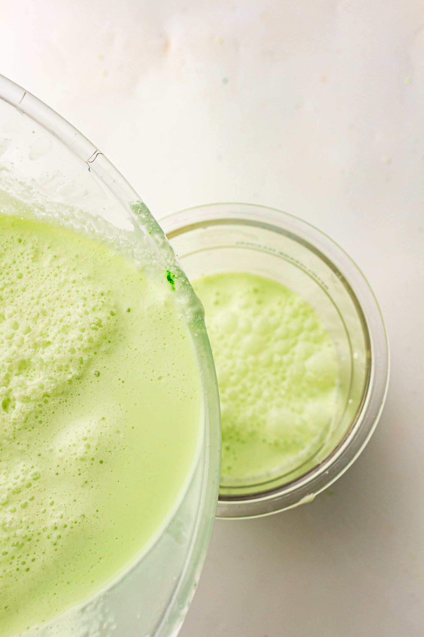 Mint Chocolate Chip – PLR Ninja Creami Ice Cream