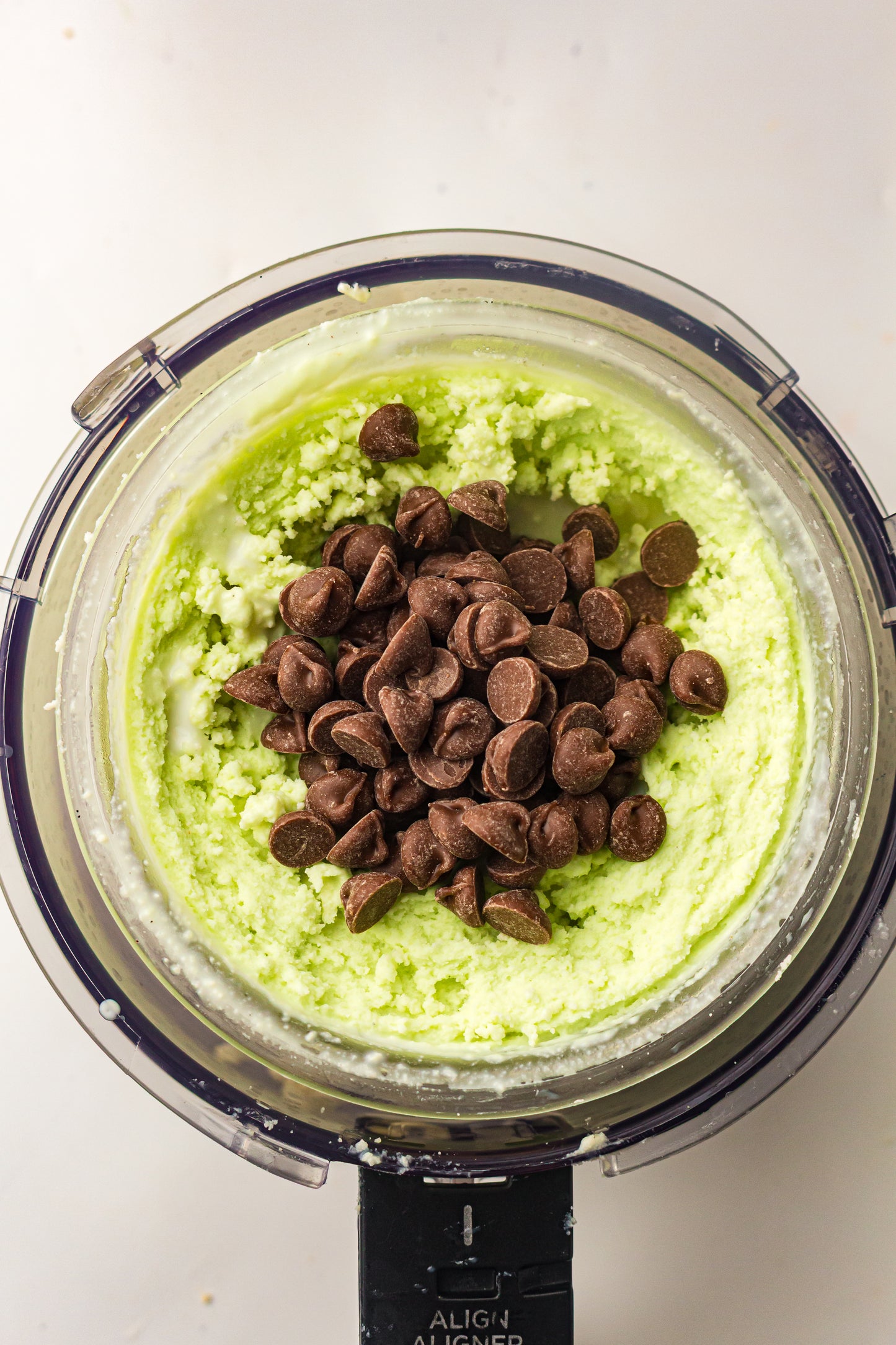 Mint Chocolate Chip – PLR Ninja Creami Ice Cream