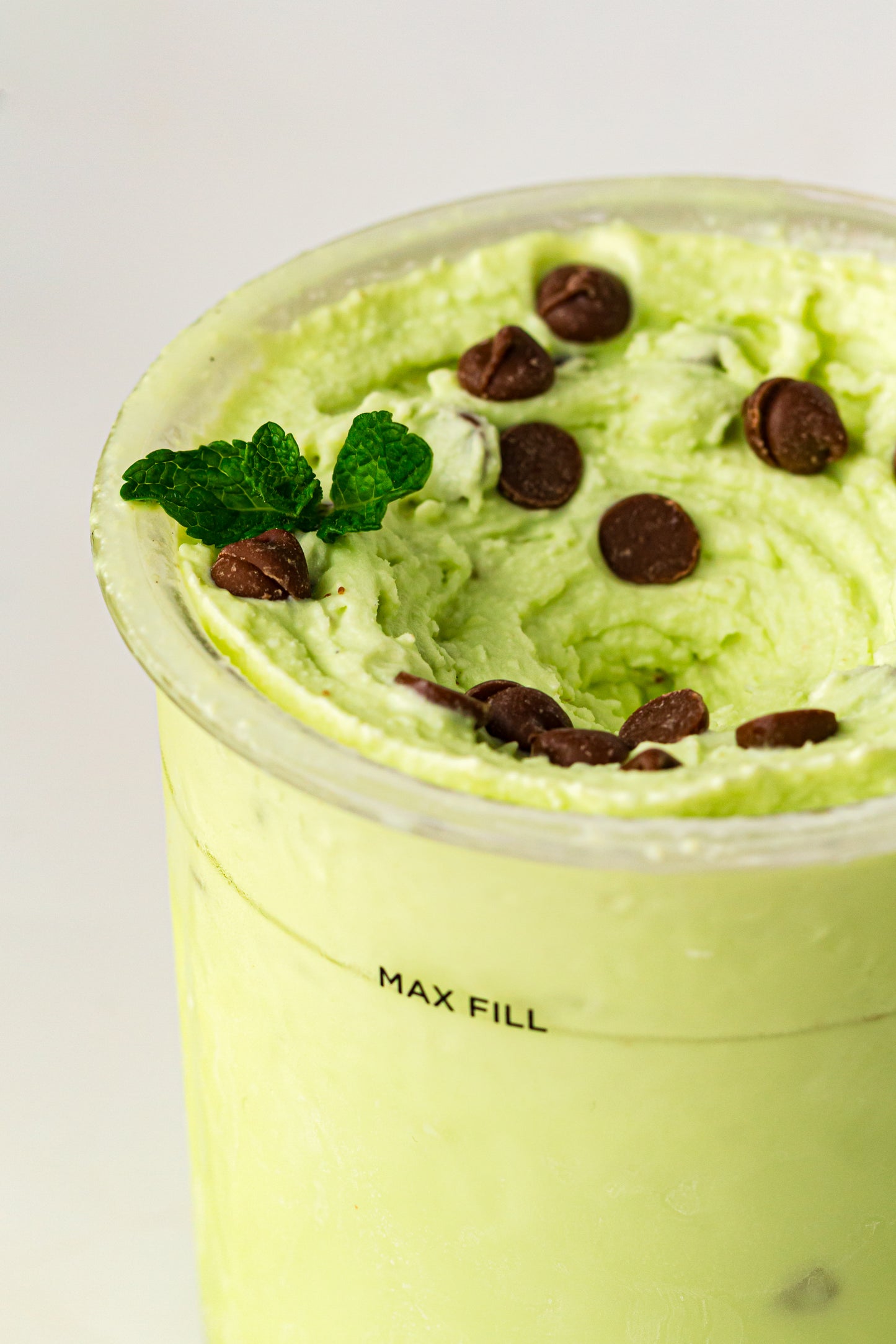 Mint Chocolate Chip – PLR Ninja Creami Ice Cream